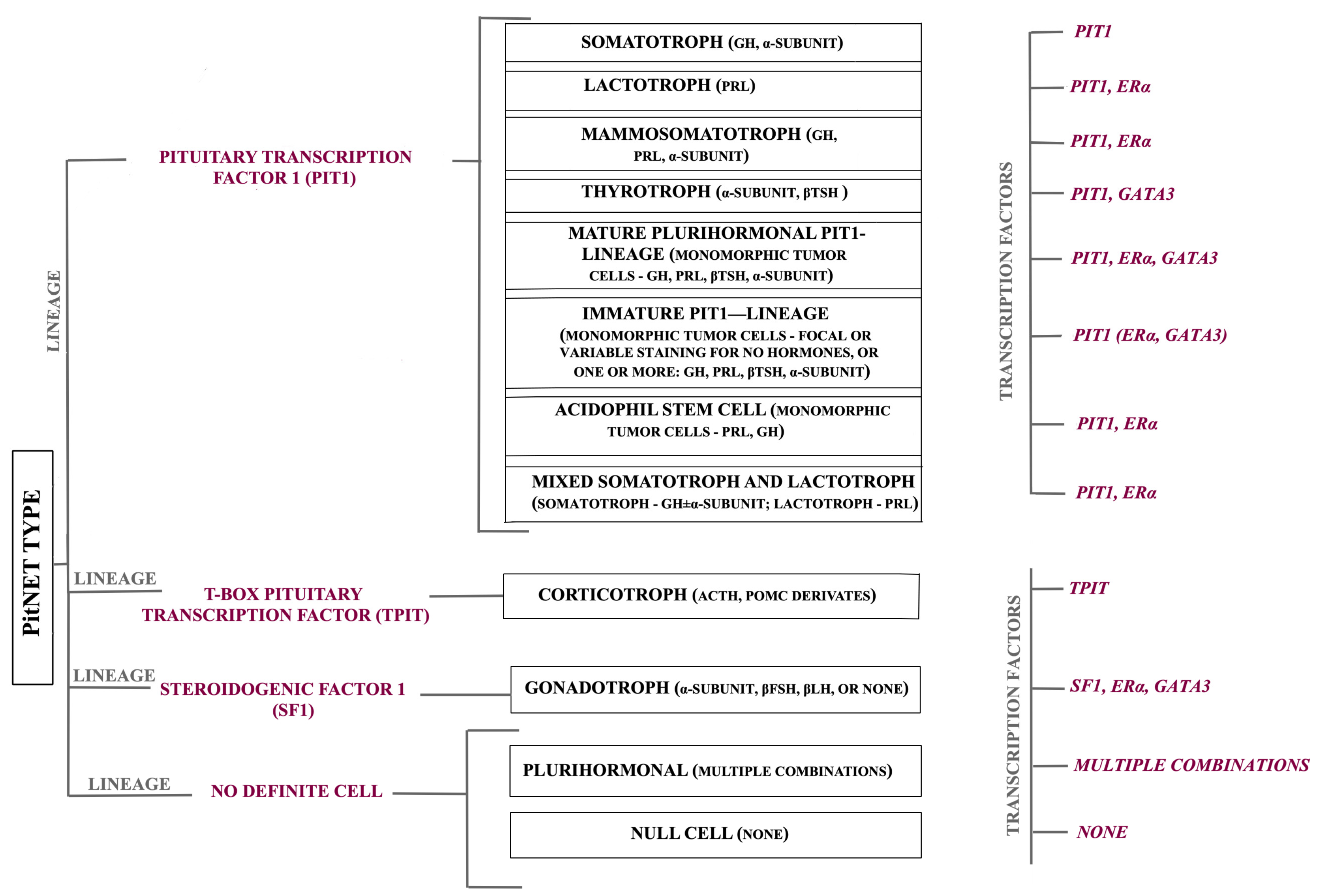Ijms 26 03717 g001 Ijms 26 03717 g001