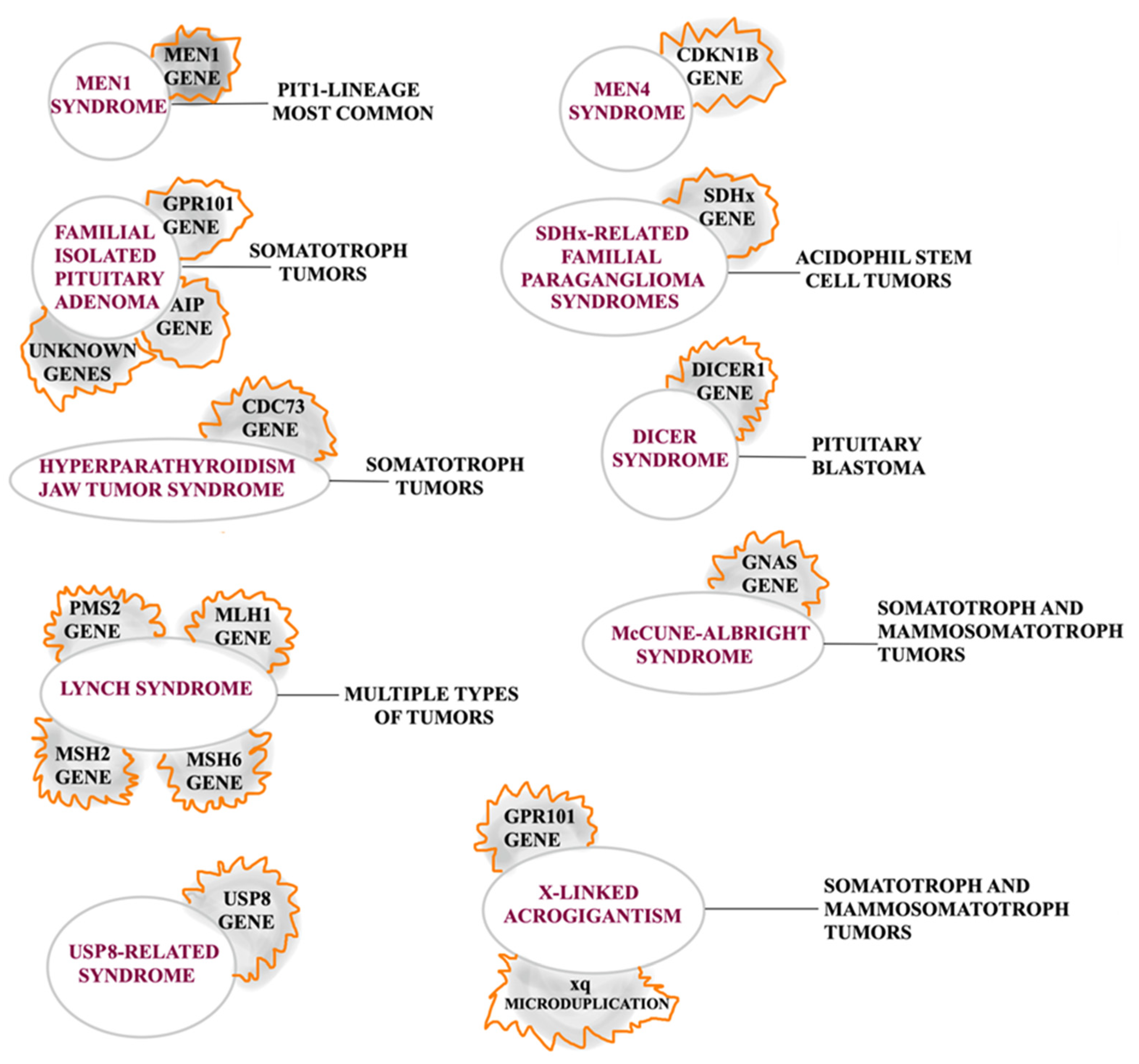 Ijms 26 03717 g004 Ijms 26 03717 g004