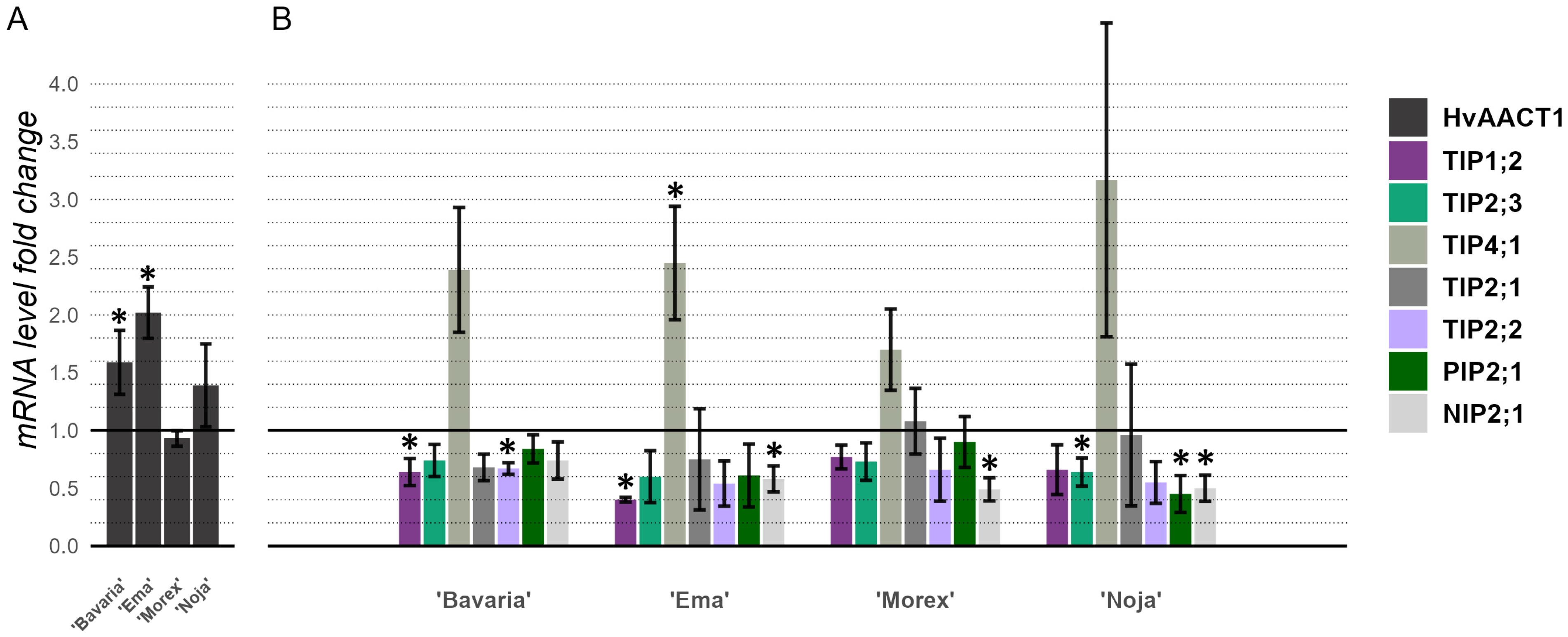 Ijms 26 03803 g006 Ijms 26 03803 g006