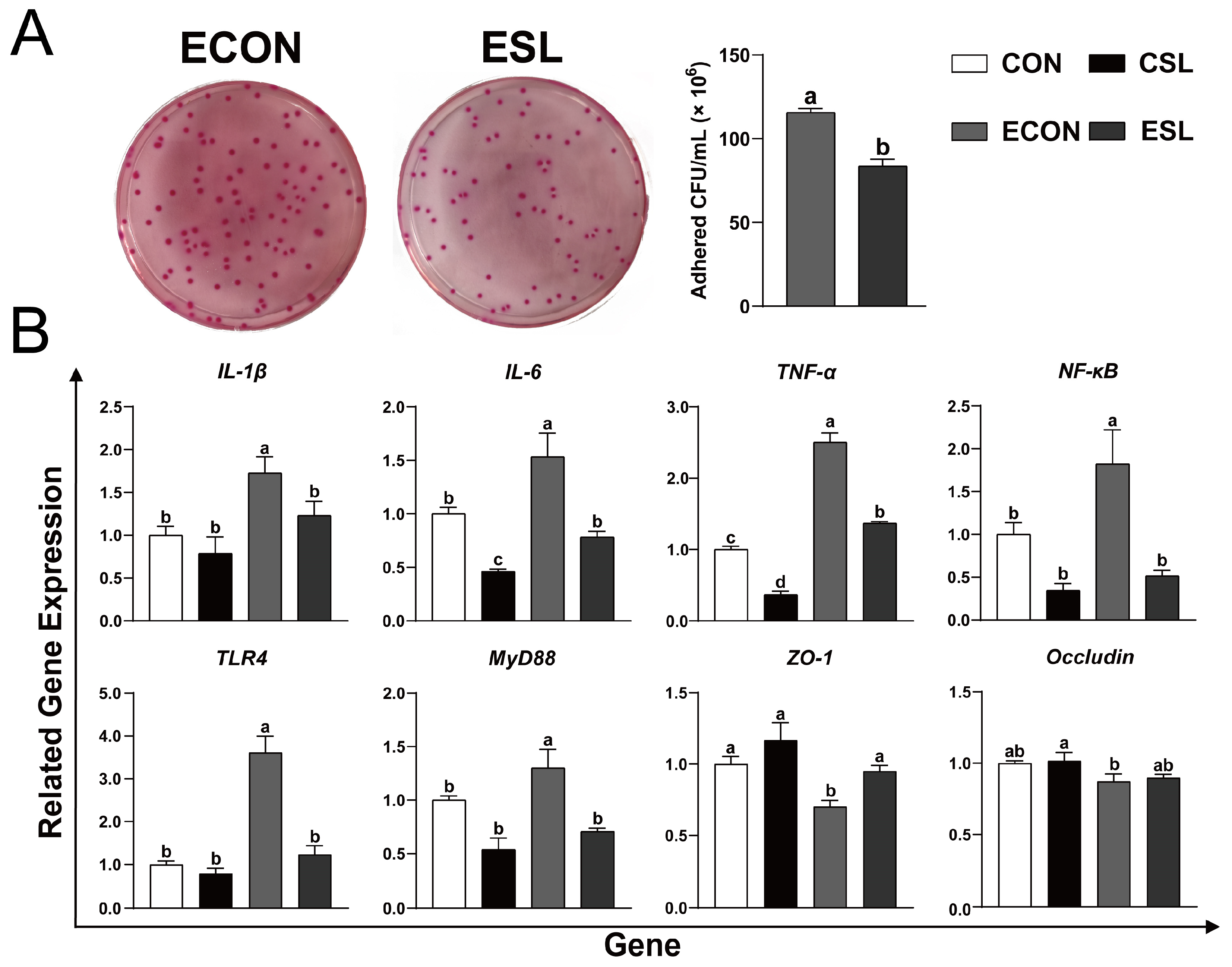 Ijms 26 03860 g002 Ijms 26 03860 g002