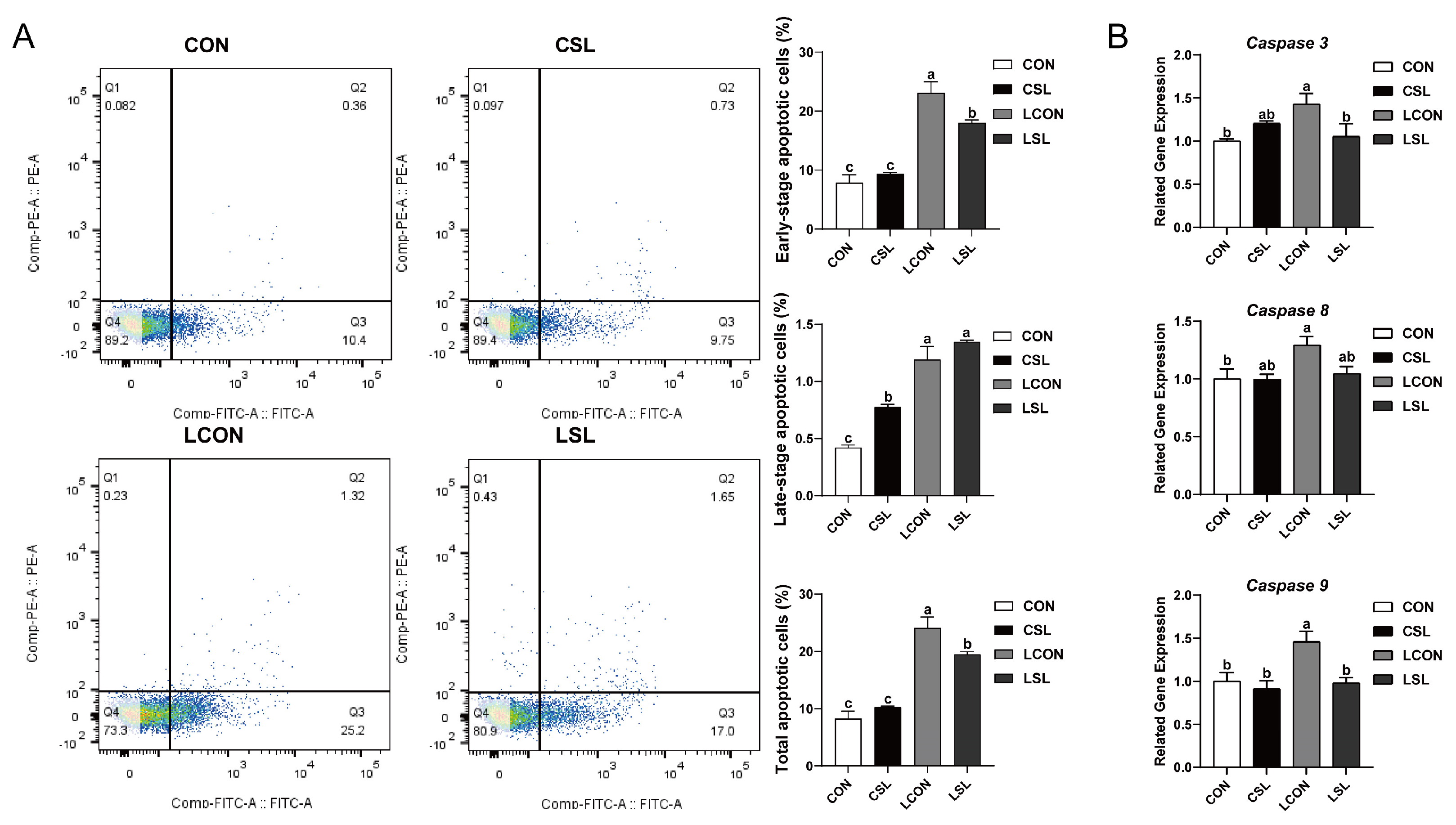 Ijms 26 03860 g004 Ijms 26 03860 g004