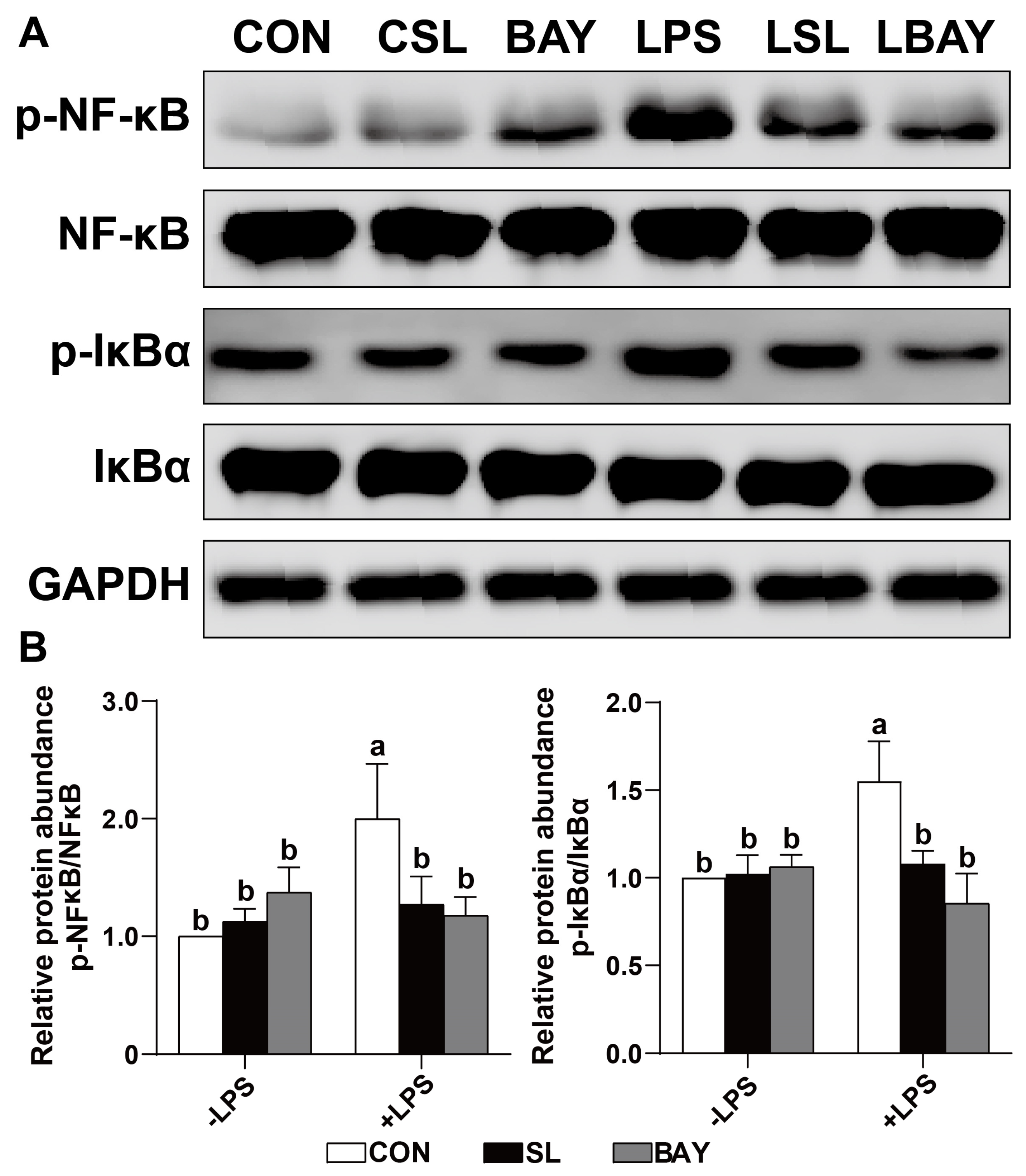 Ijms 26 03860 g008 Ijms 26 03860 g008