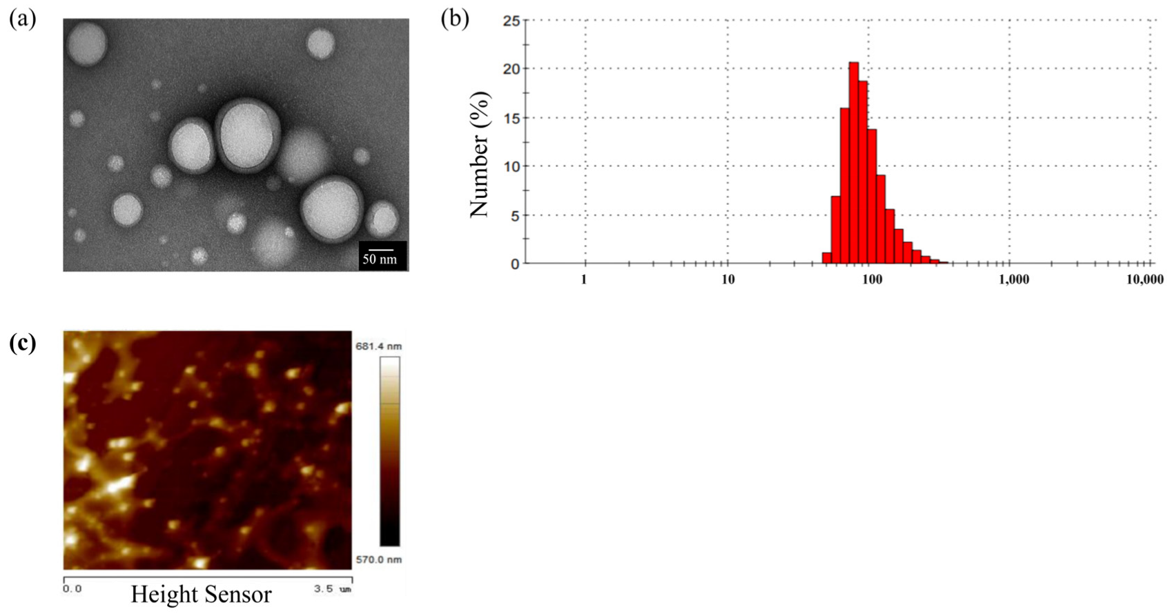 Ijms 26 03861 g001 Ijms 26 03861 g001