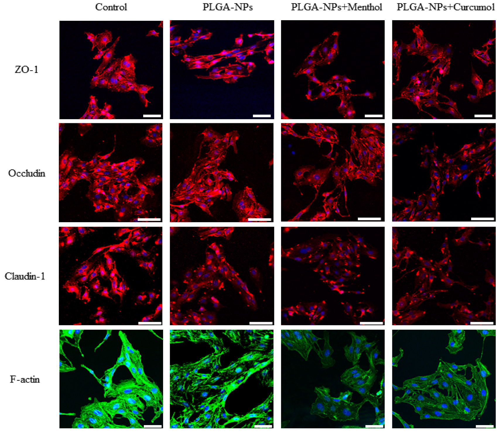 Ijms 26 03861 g005 Ijms 26 03861 g005