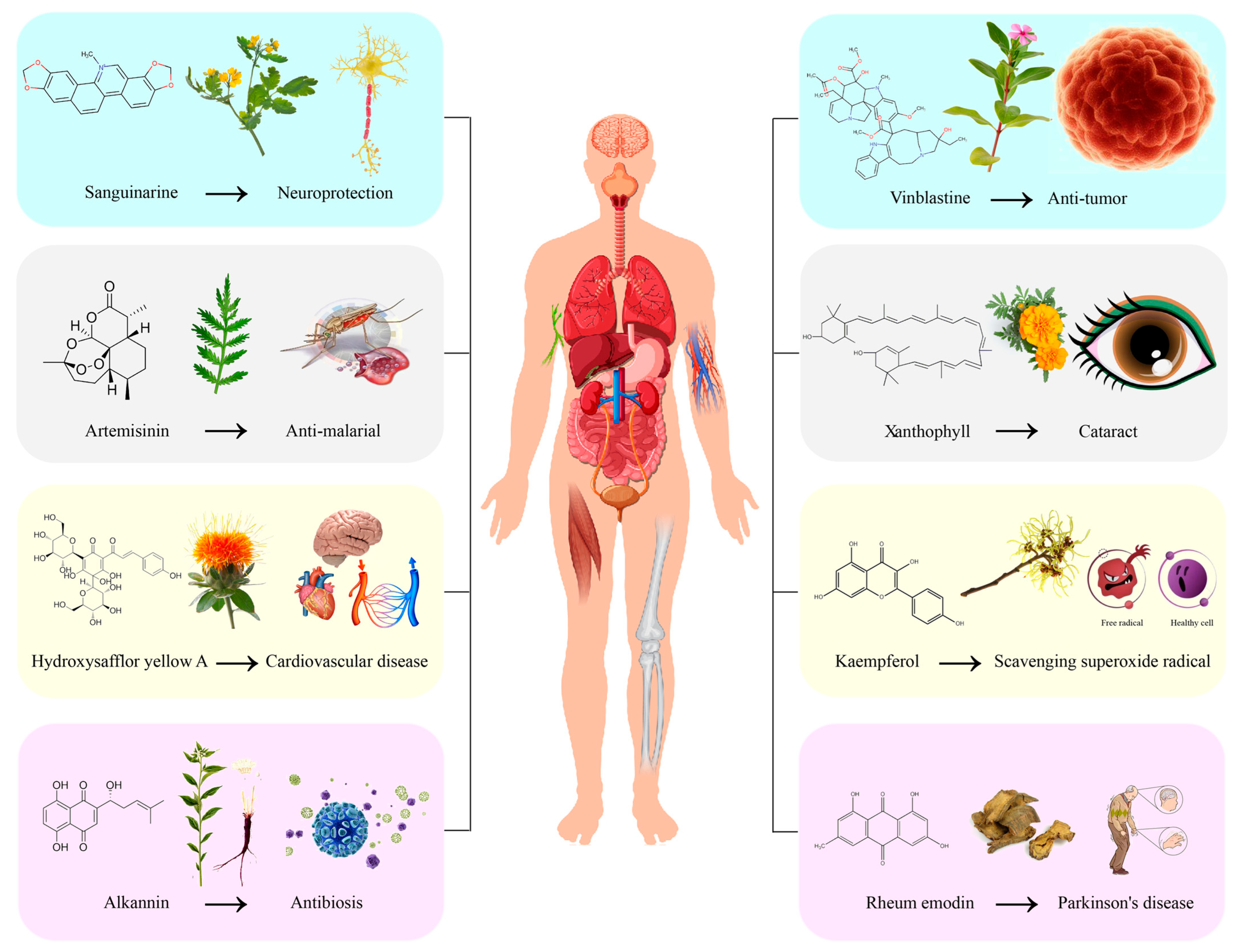 Ijms 26 03867 g002 Ijms 26 03867 g002