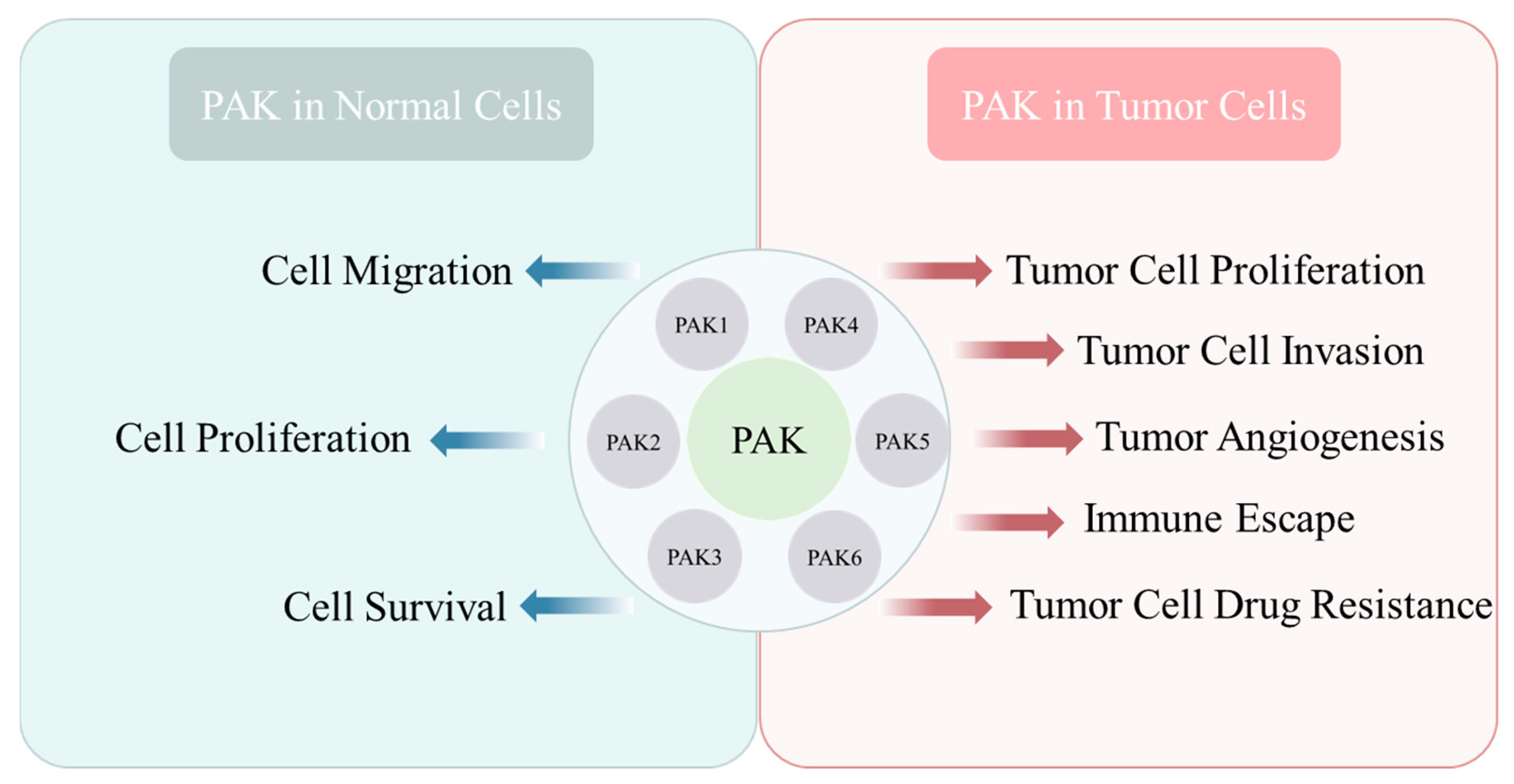 Ijms 26 03885 g006 Ijms 26 03885 g006