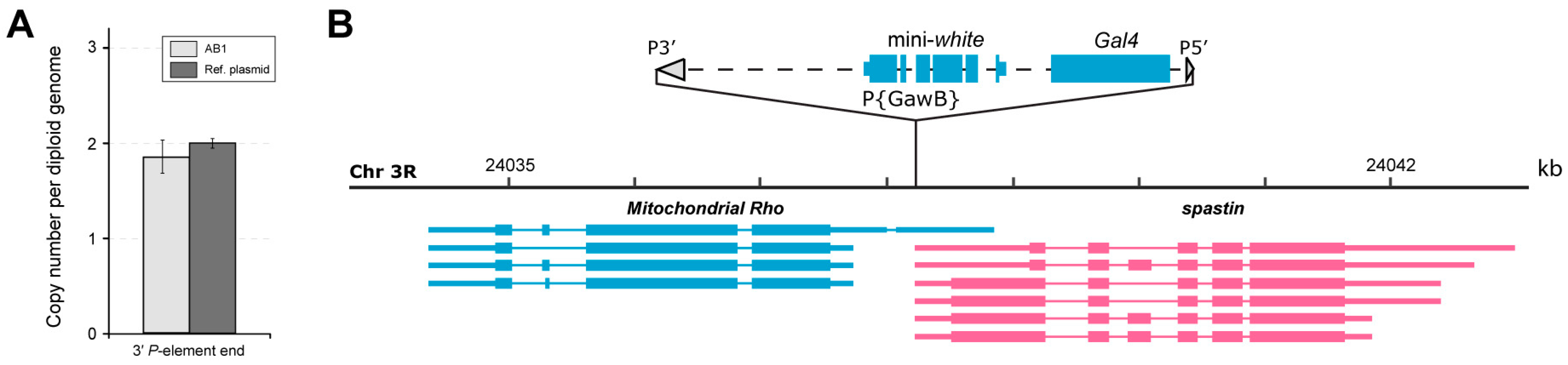 Ijms 26 03923 g001 Ijms 26 03923 g001