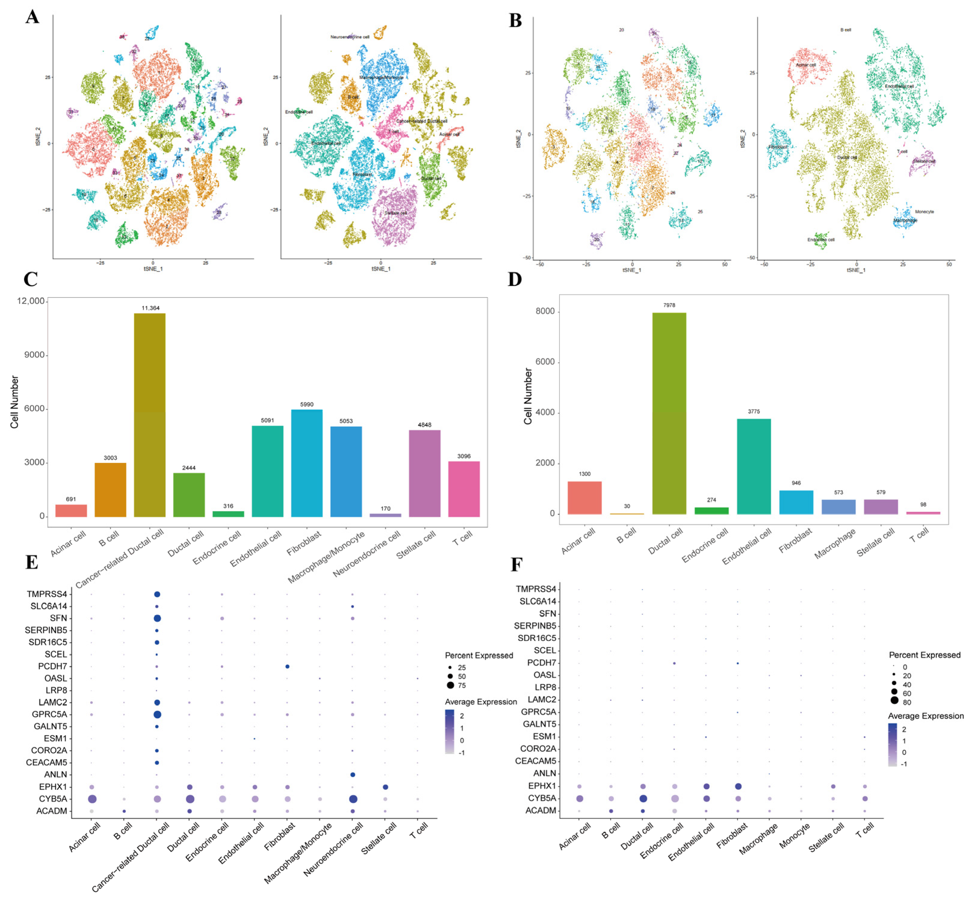 Ijms 26 03936 g003 Ijms 26 03936 g003
