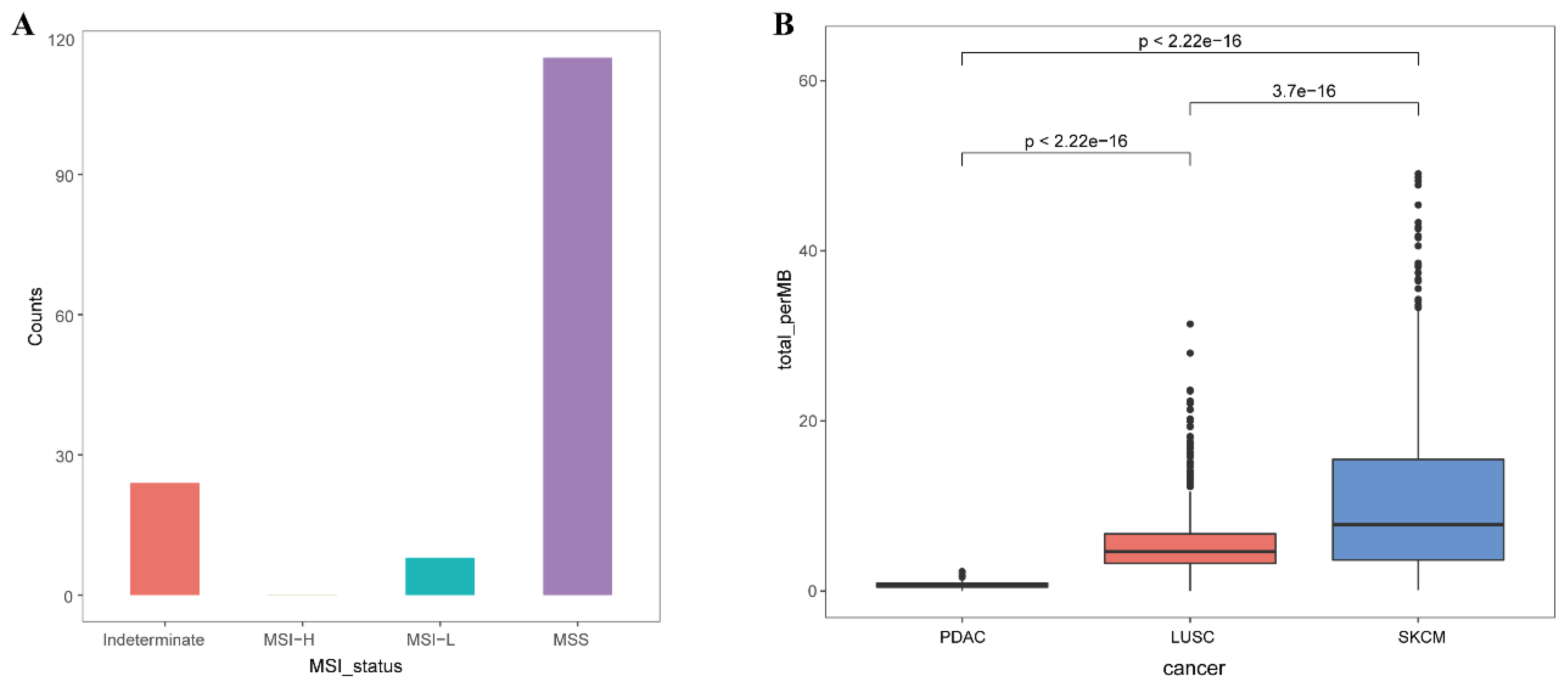 Ijms 26 03936 g0a1 Ijms 26 03936 g0a1