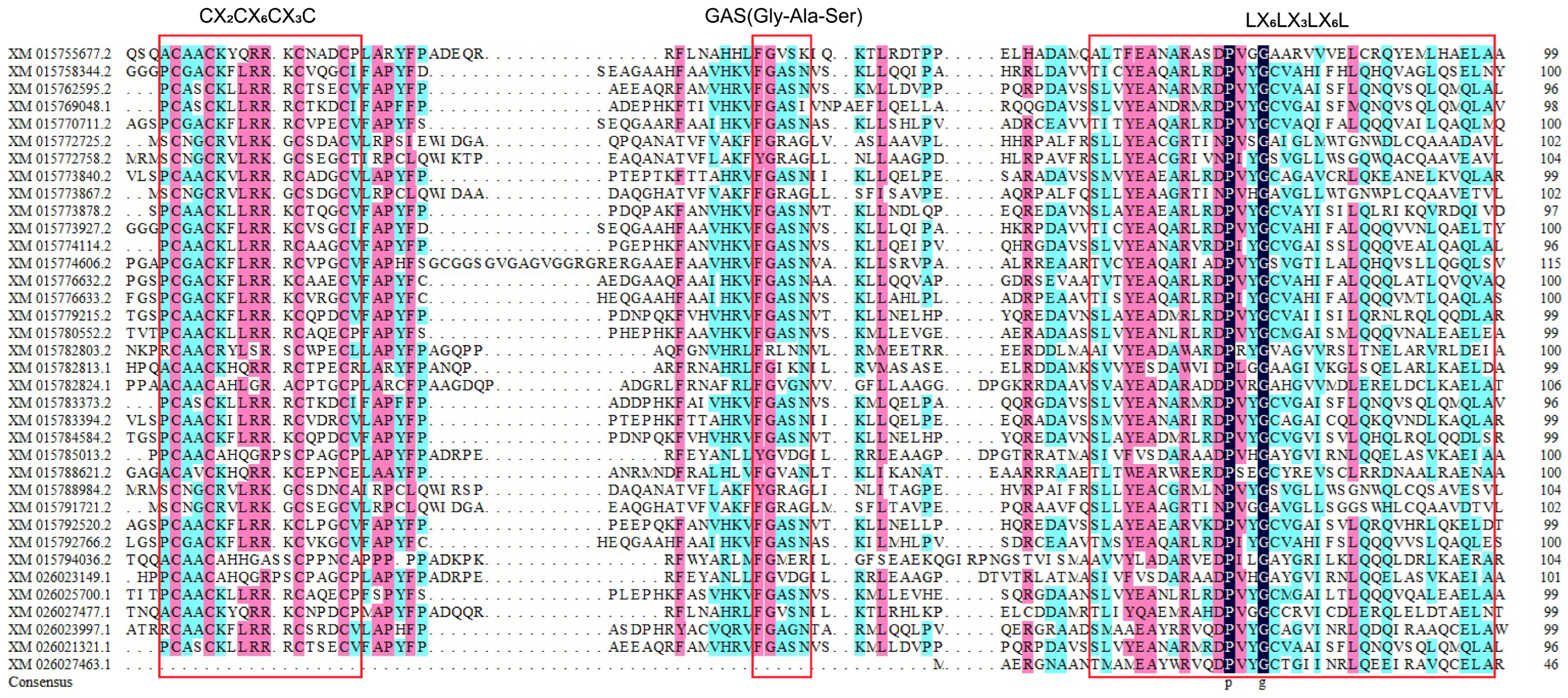 Ijms 26 03948 g001 Ijms 26 03948 g001