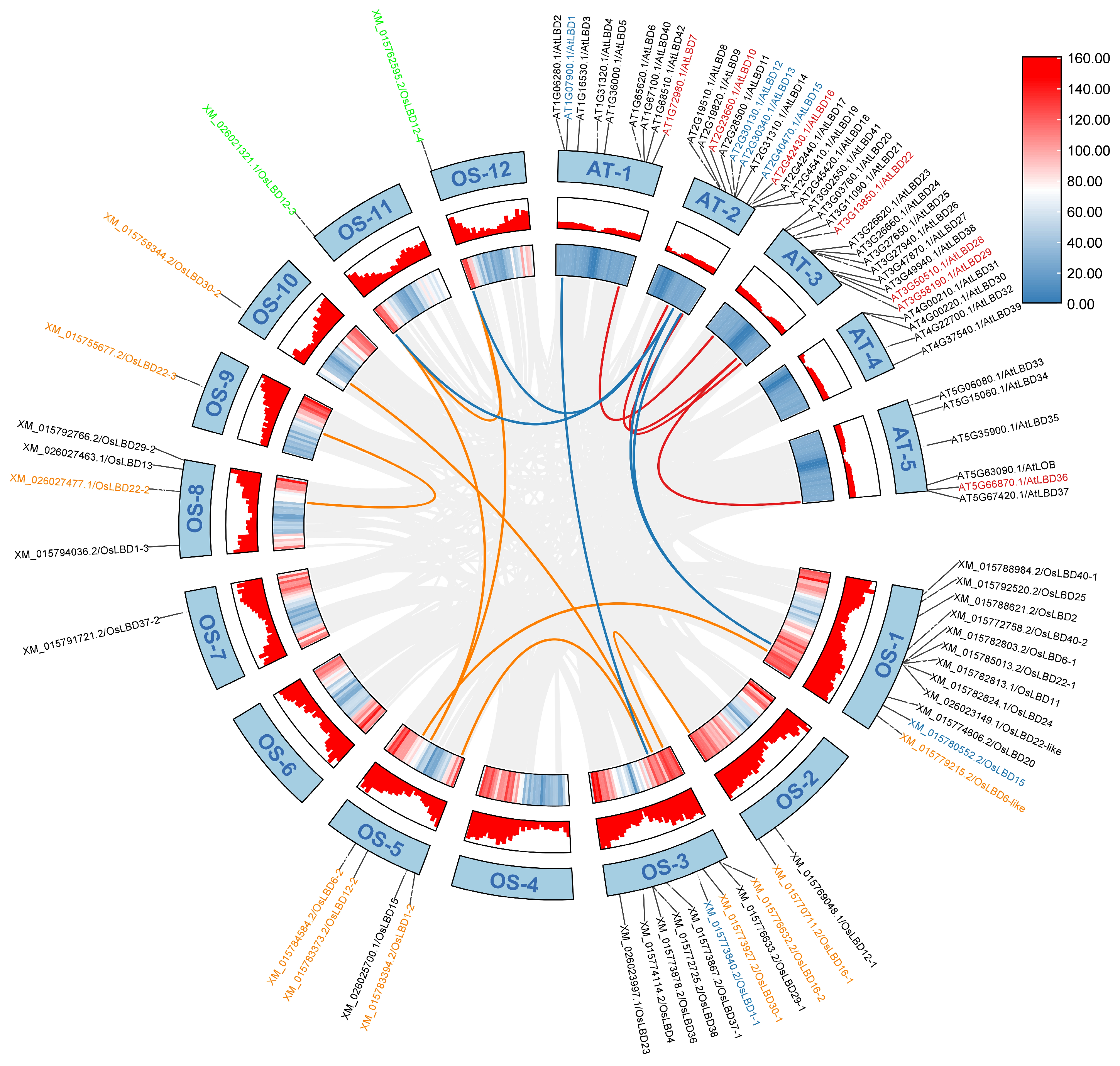 Ijms 26 03948 g006 Ijms 26 03948 g006
