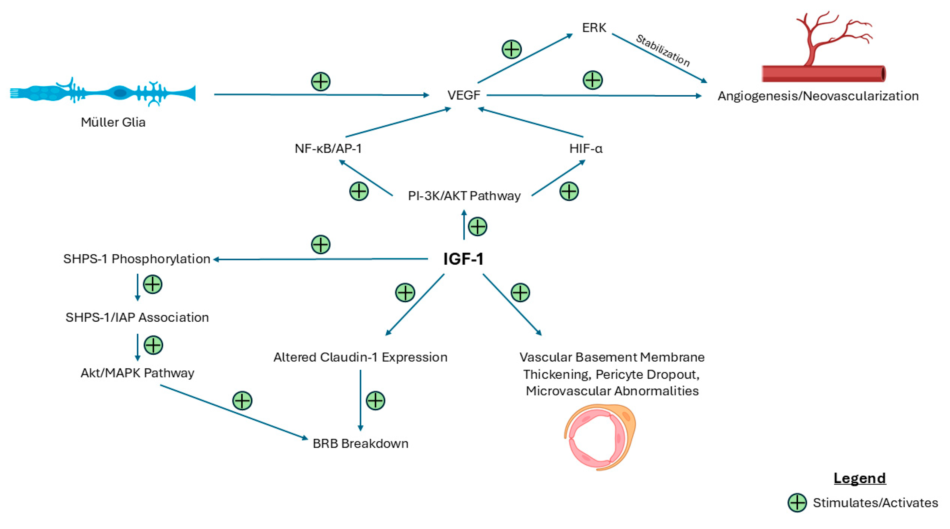 Ijms 26 03961 g001 Ijms 26 03961 g001
