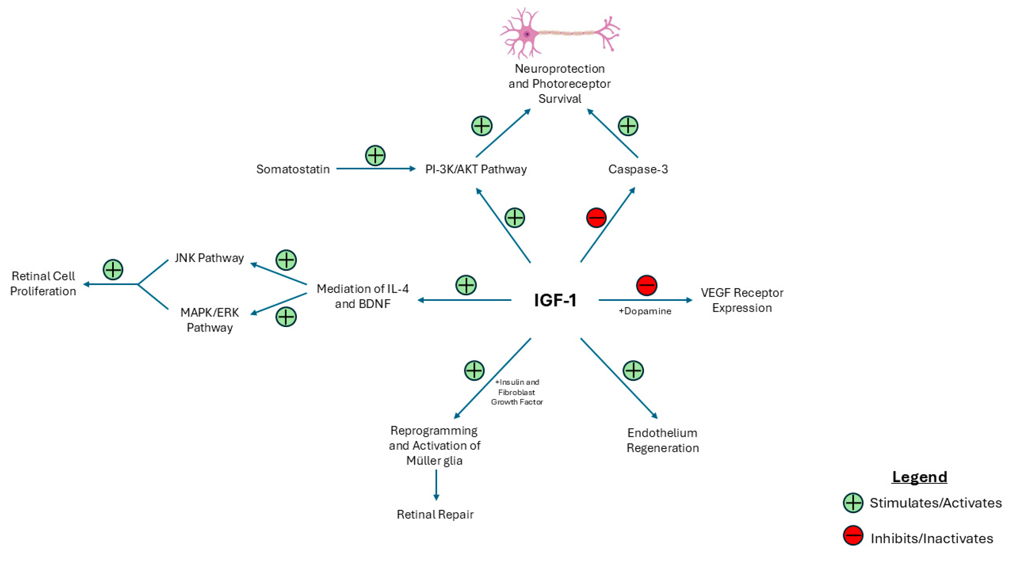 Ijms 26 03961 g002 Ijms 26 03961 g002