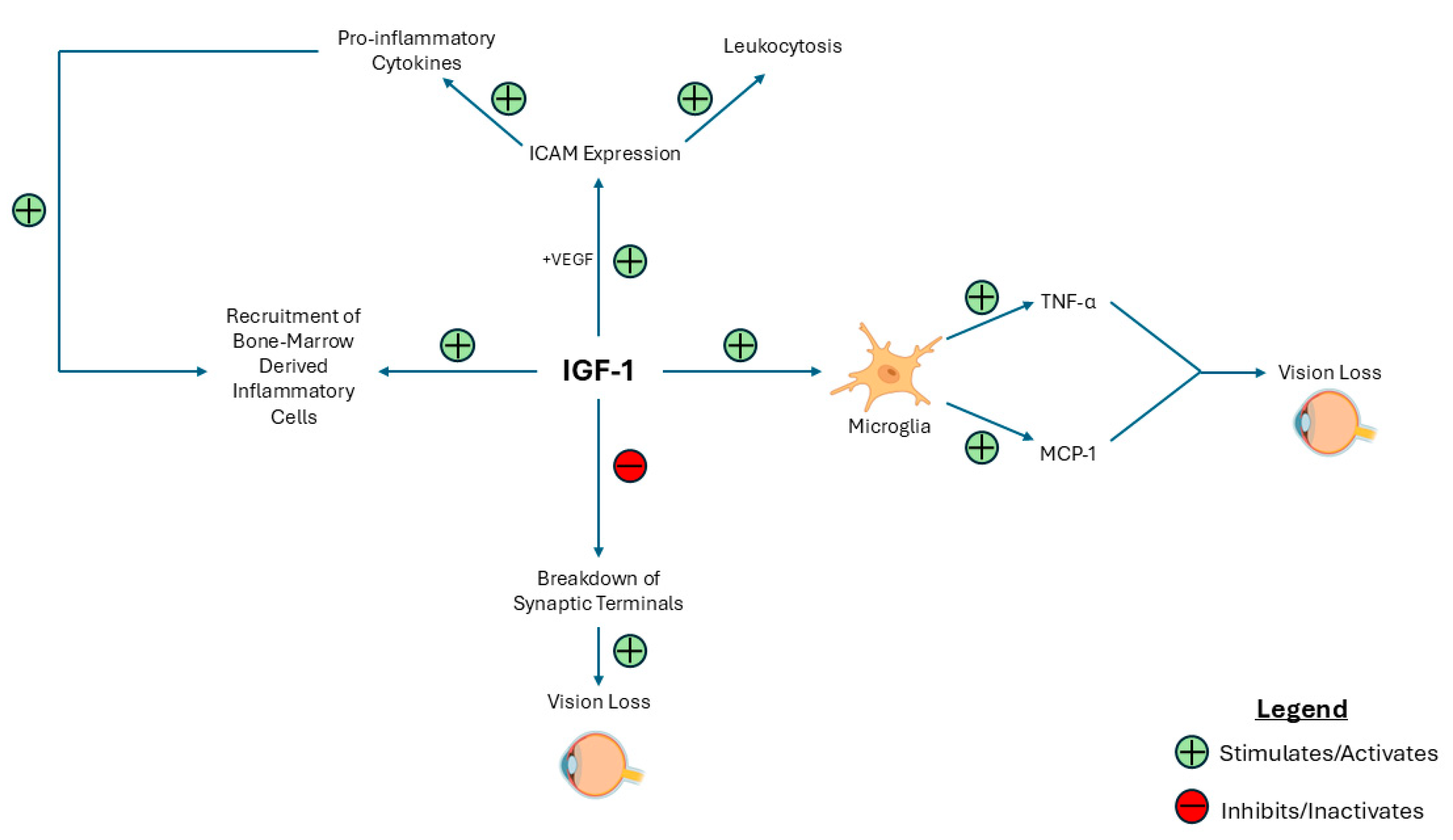 Ijms 26 03961 g003 Ijms 26 03961 g003