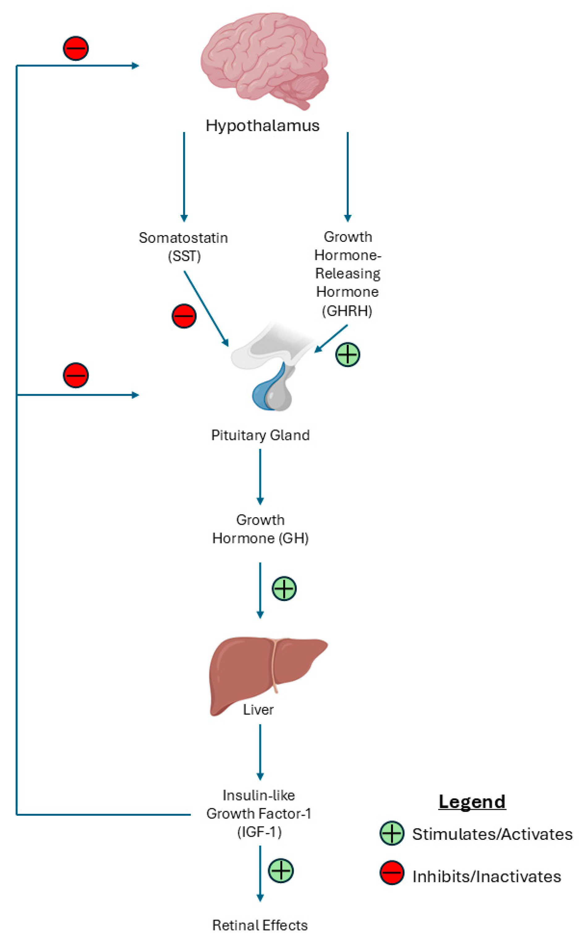 Ijms 26 03961 g004 Ijms 26 03961 g004