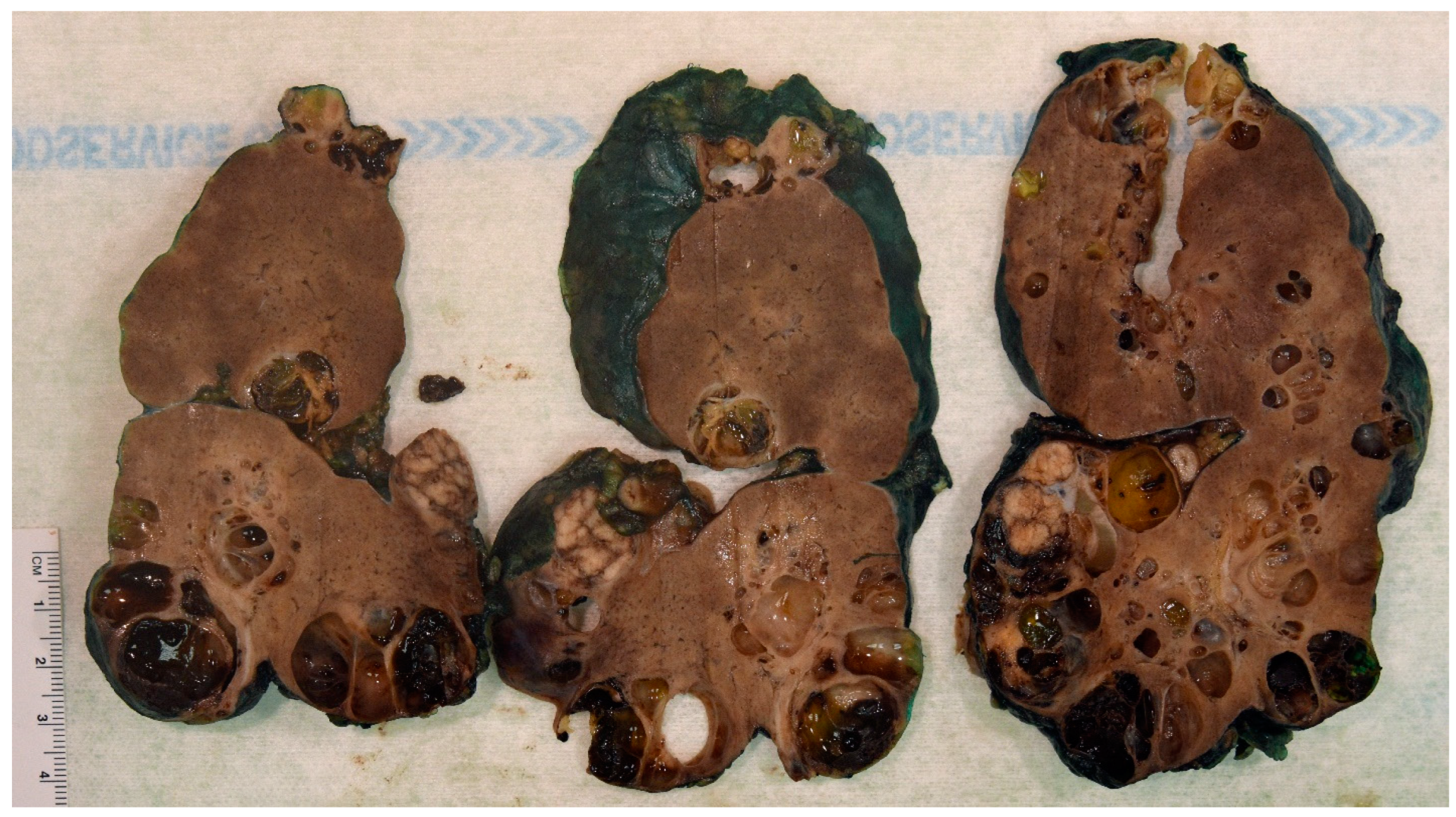 Ijms 26 03965 g002 Ijms 26 03965 g002