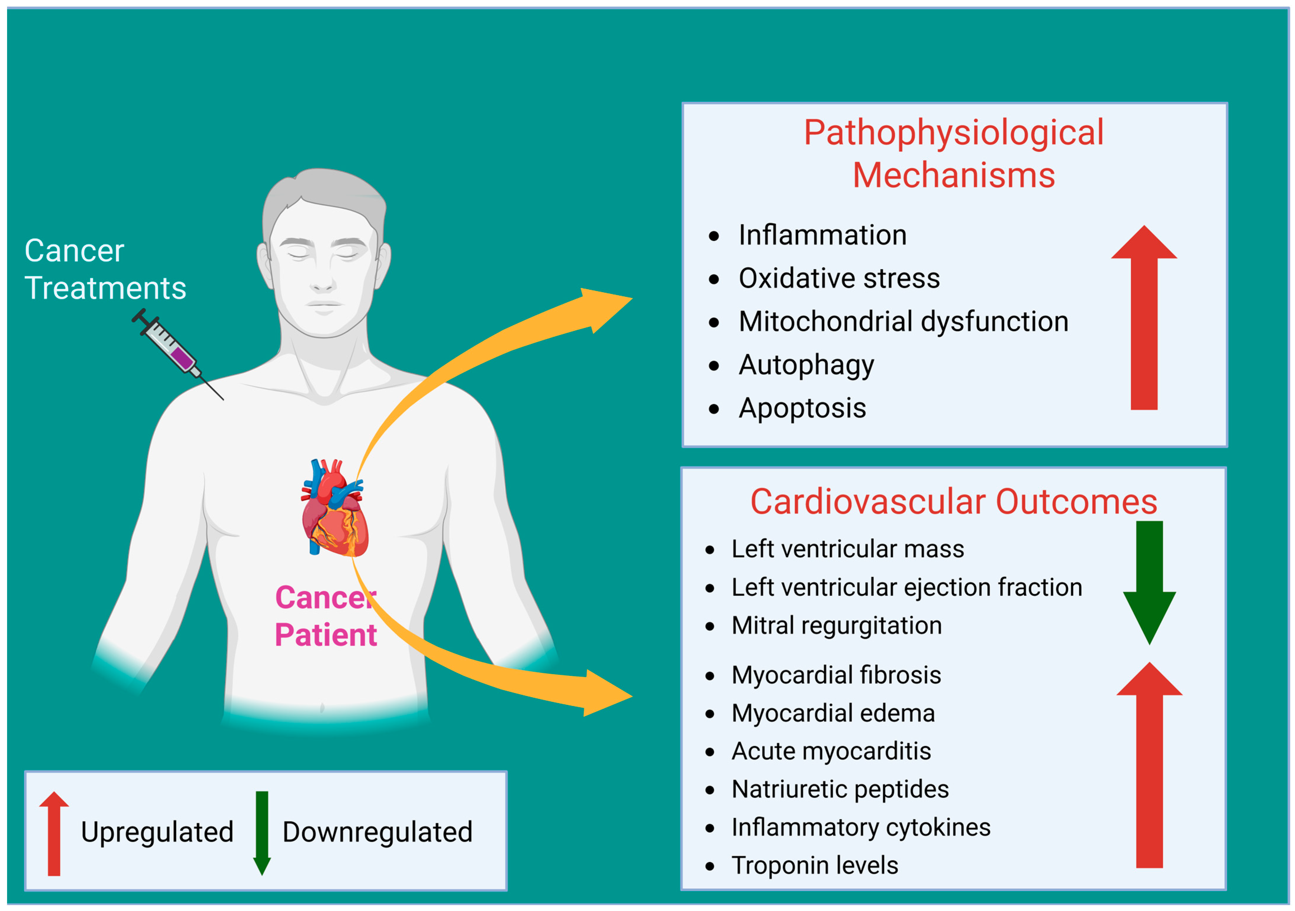 Ijms 26 03966 g001 Ijms 26 03966 g001