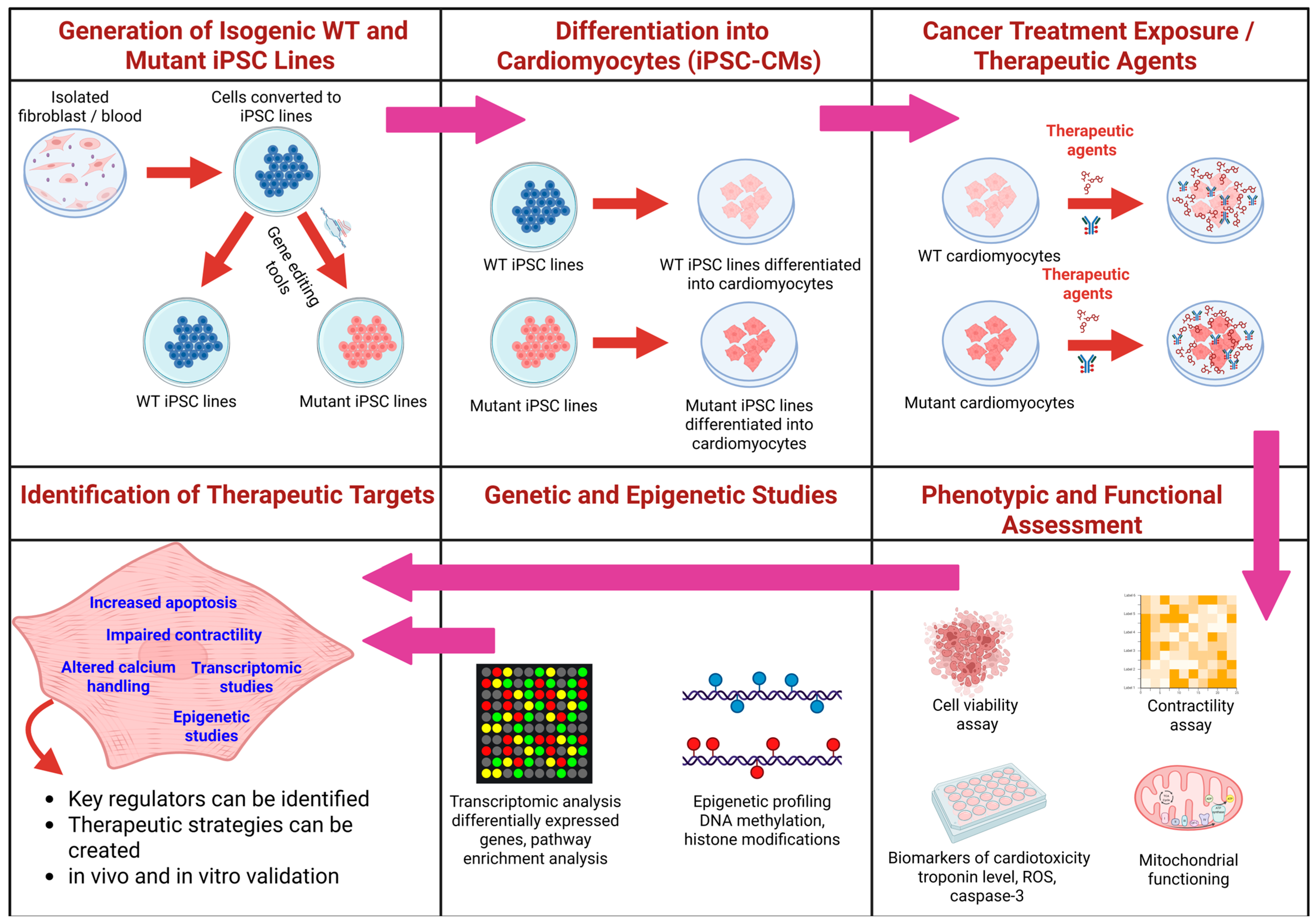 Ijms 26 03966 g004 Ijms 26 03966 g004