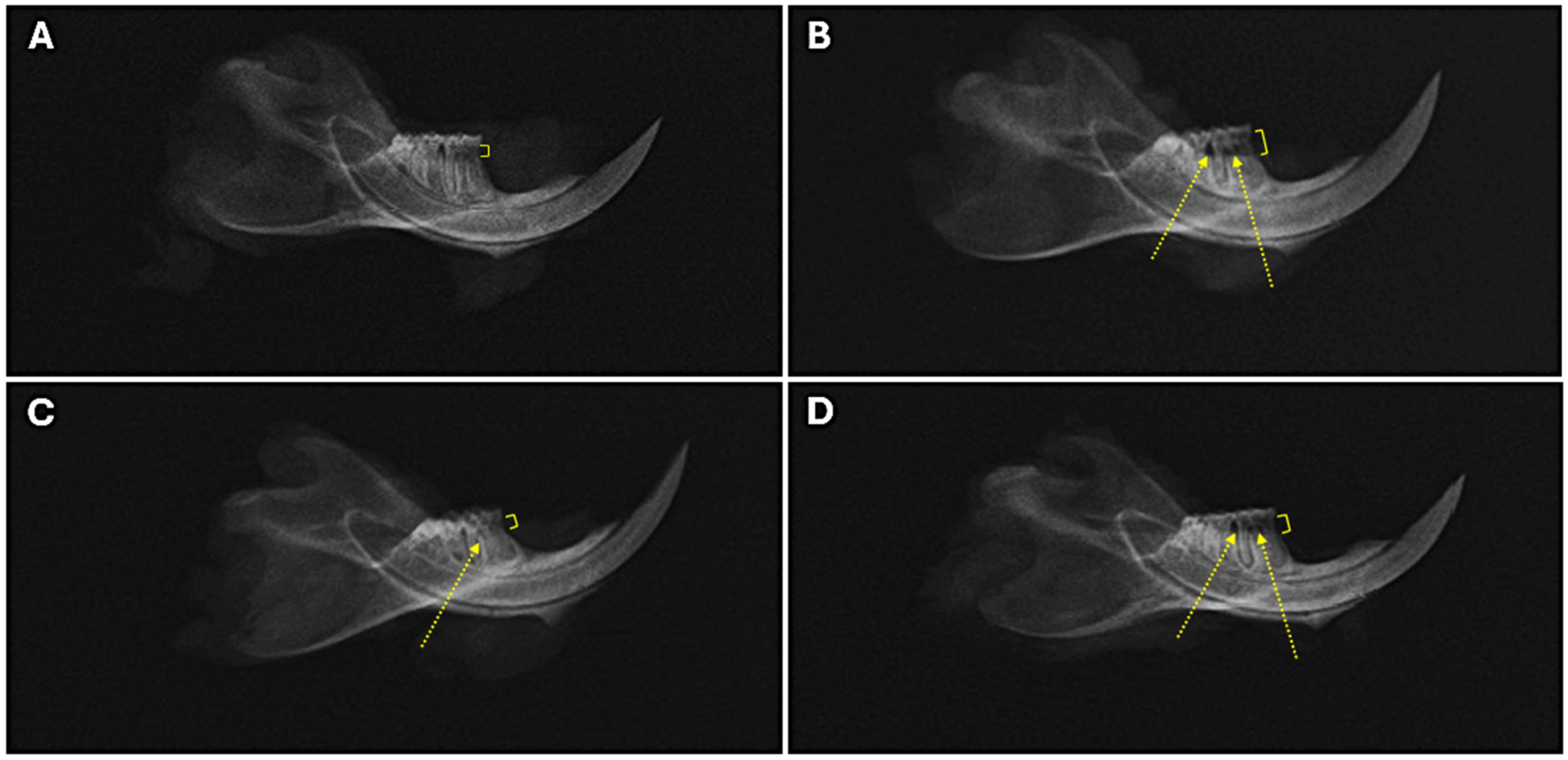 Ijms 26 03984 g005 Ijms 26 03984 g005