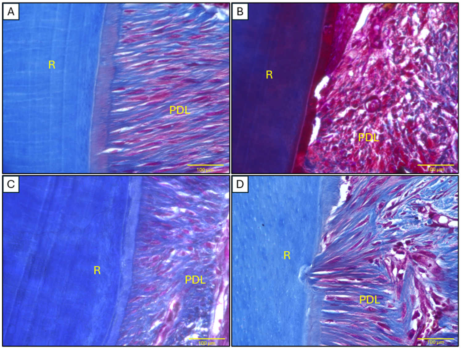 Ijms 26 03984 g007 Ijms 26 03984 g007