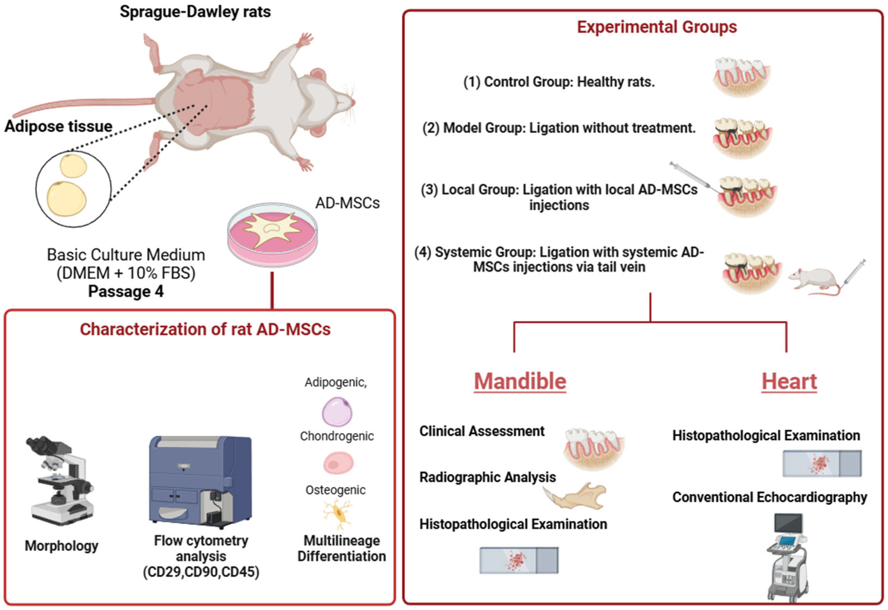 Ijms 26 03984 g011 Ijms 26 03984 g011