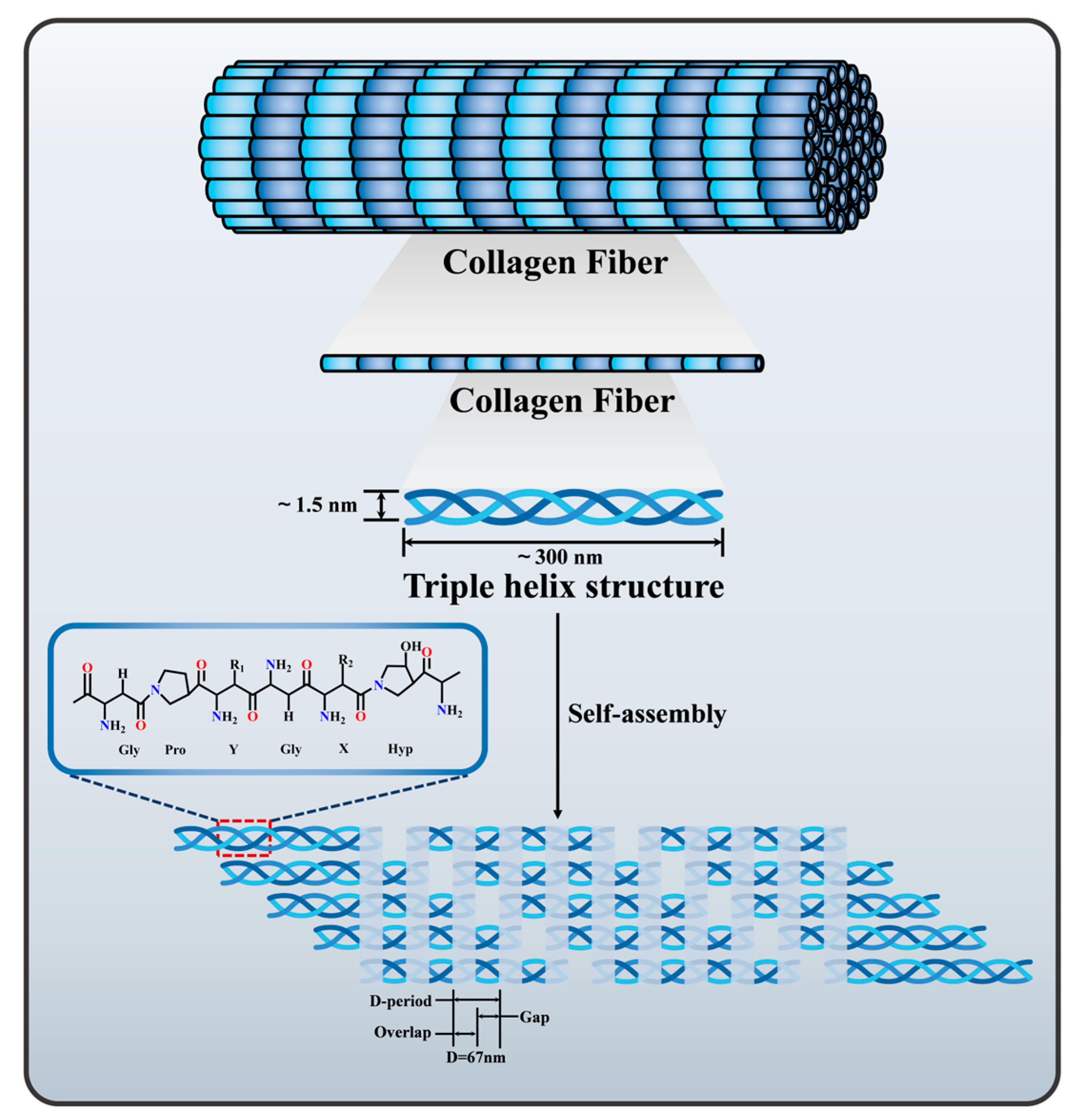 Ijms 26 04009 g001 Ijms 26 04009 g001