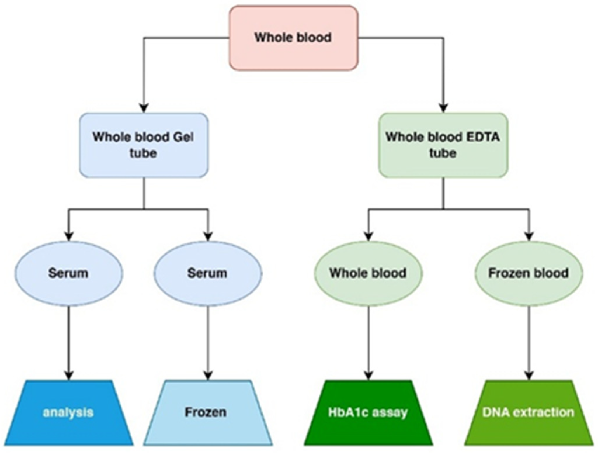 Ijms 26 04015 g006 Ijms 26 04015 g006