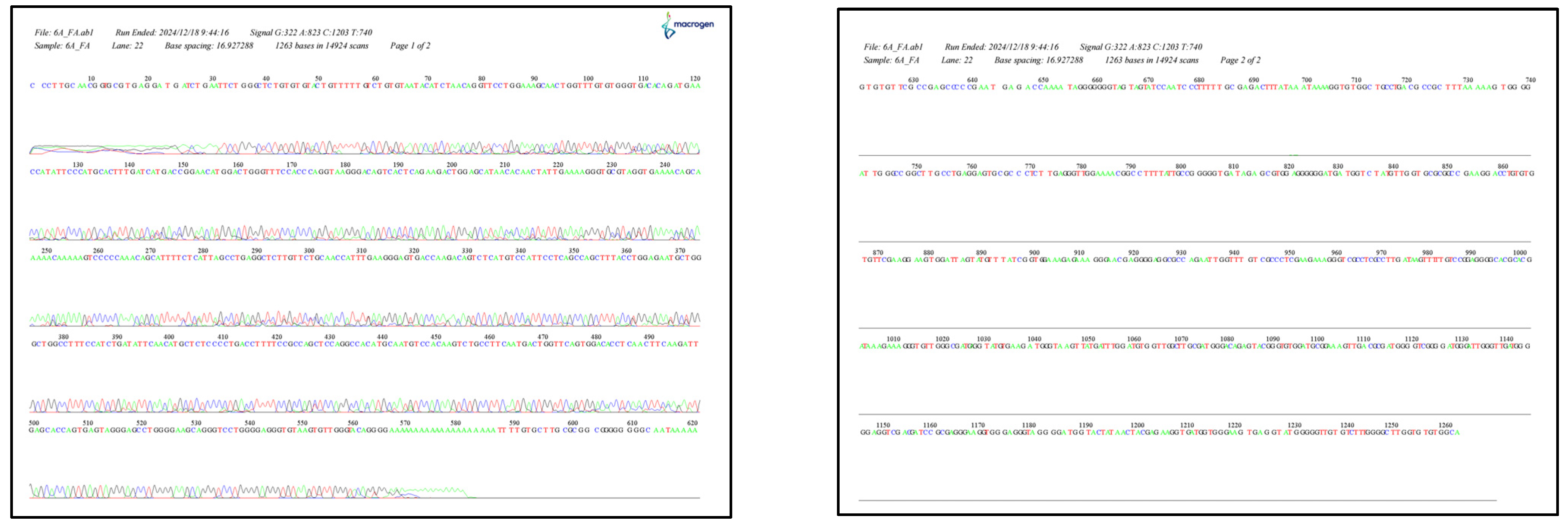 Ijms 26 04015 g0a2 Ijms 26 04015 g0a2