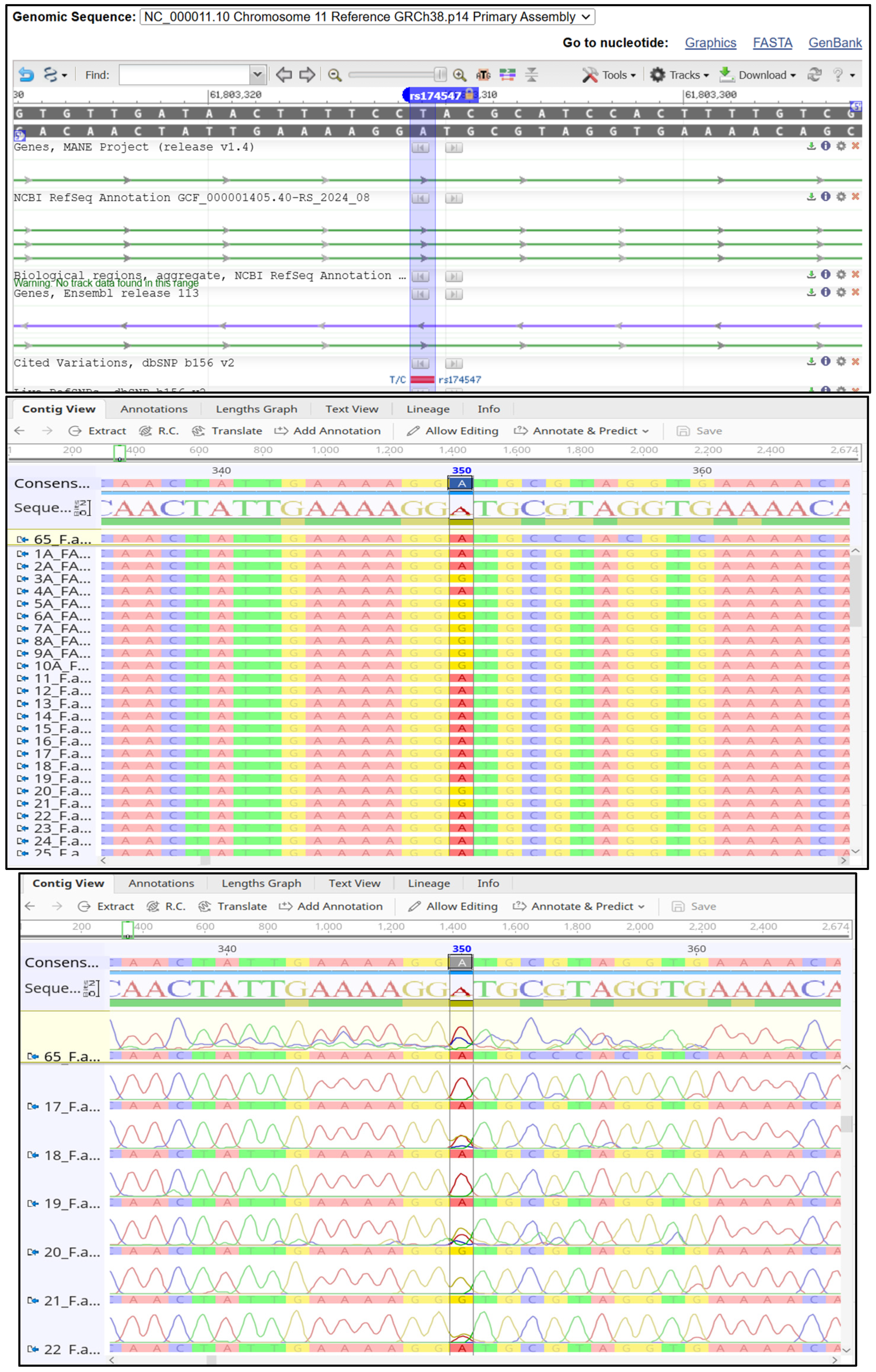 Ijms 26 04015 g0a3 Ijms 26 04015 g0a3