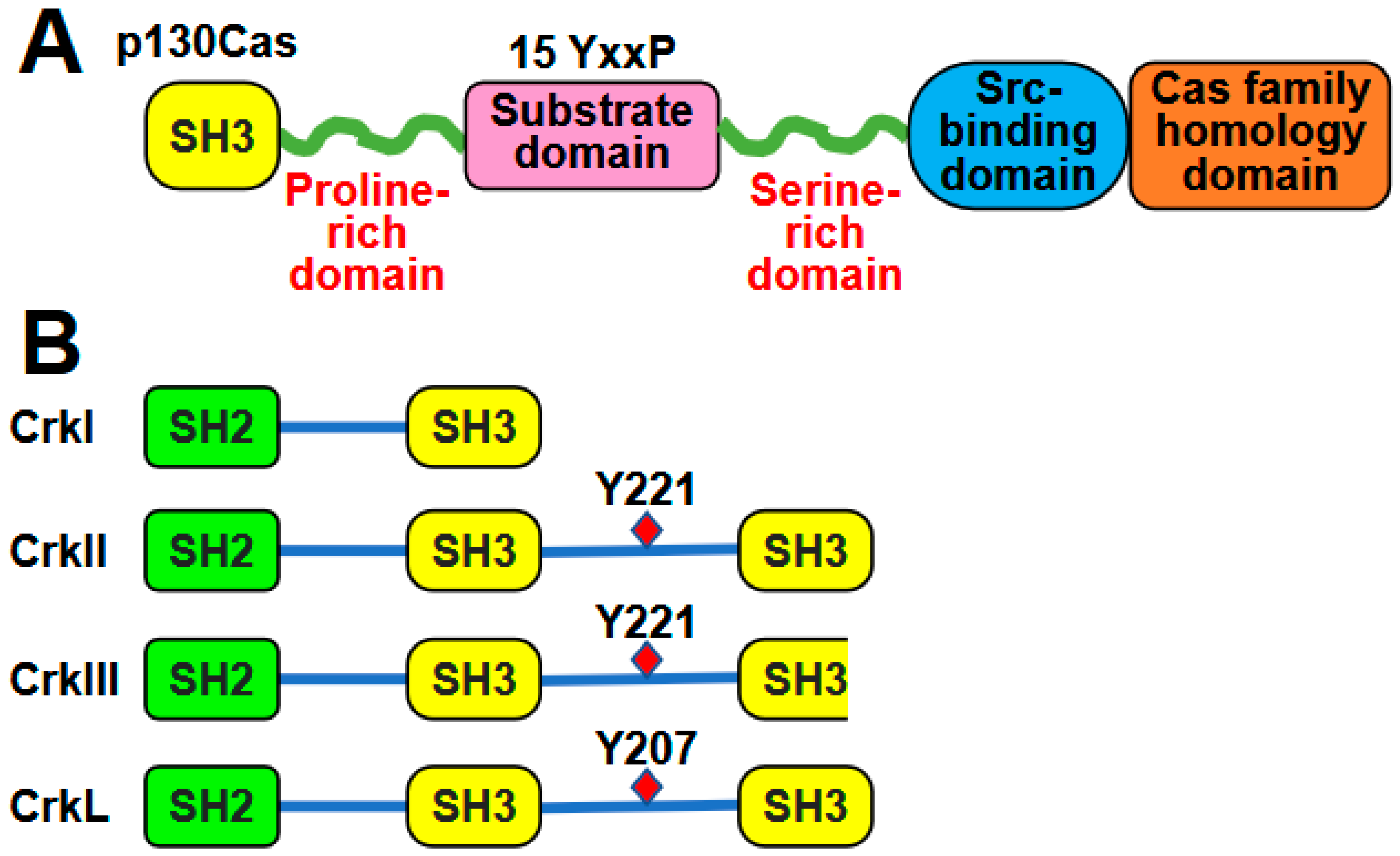Ijms 26 04017 g001 Ijms 26 04017 g001