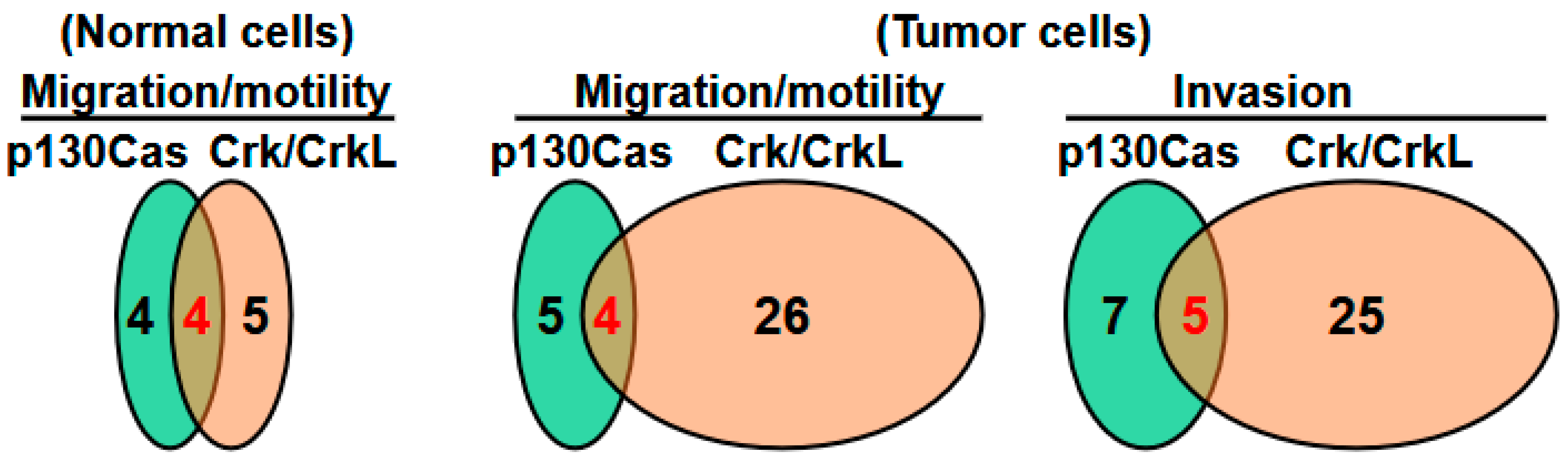 Ijms 26 04017 g003 Ijms 26 04017 g003