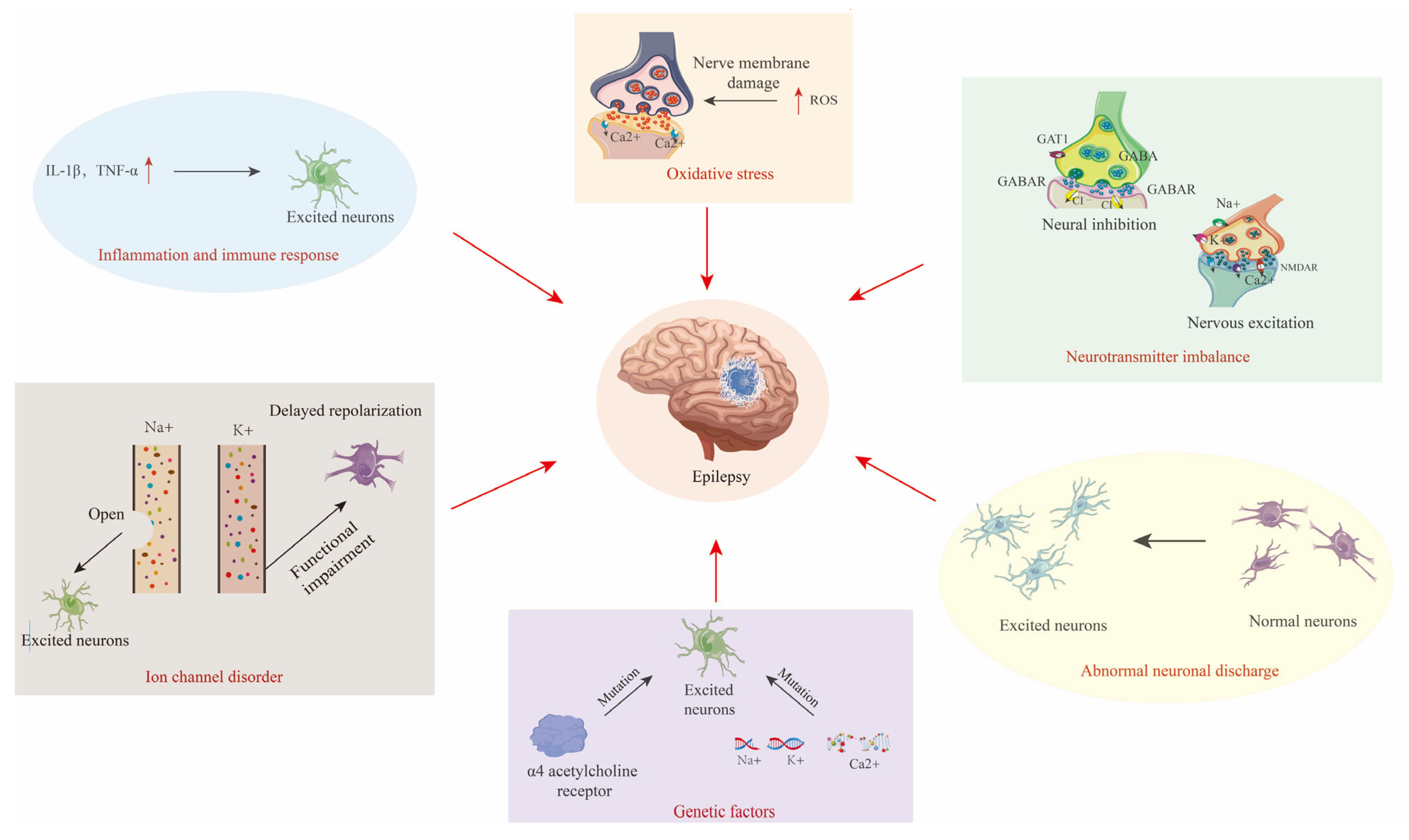 Ijms 26 04035 g002 Ijms 26 04035 g002