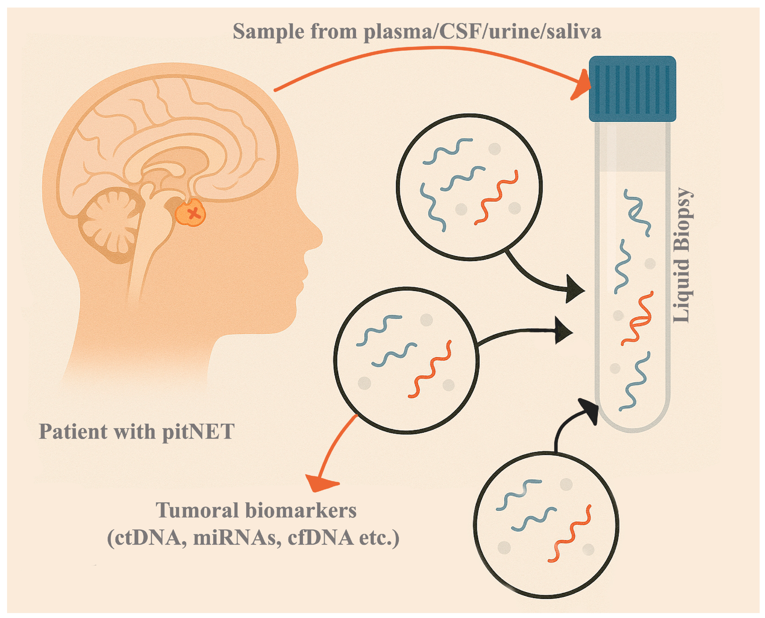 Ijms 26 04058 g001 Ijms 26 04058 g001