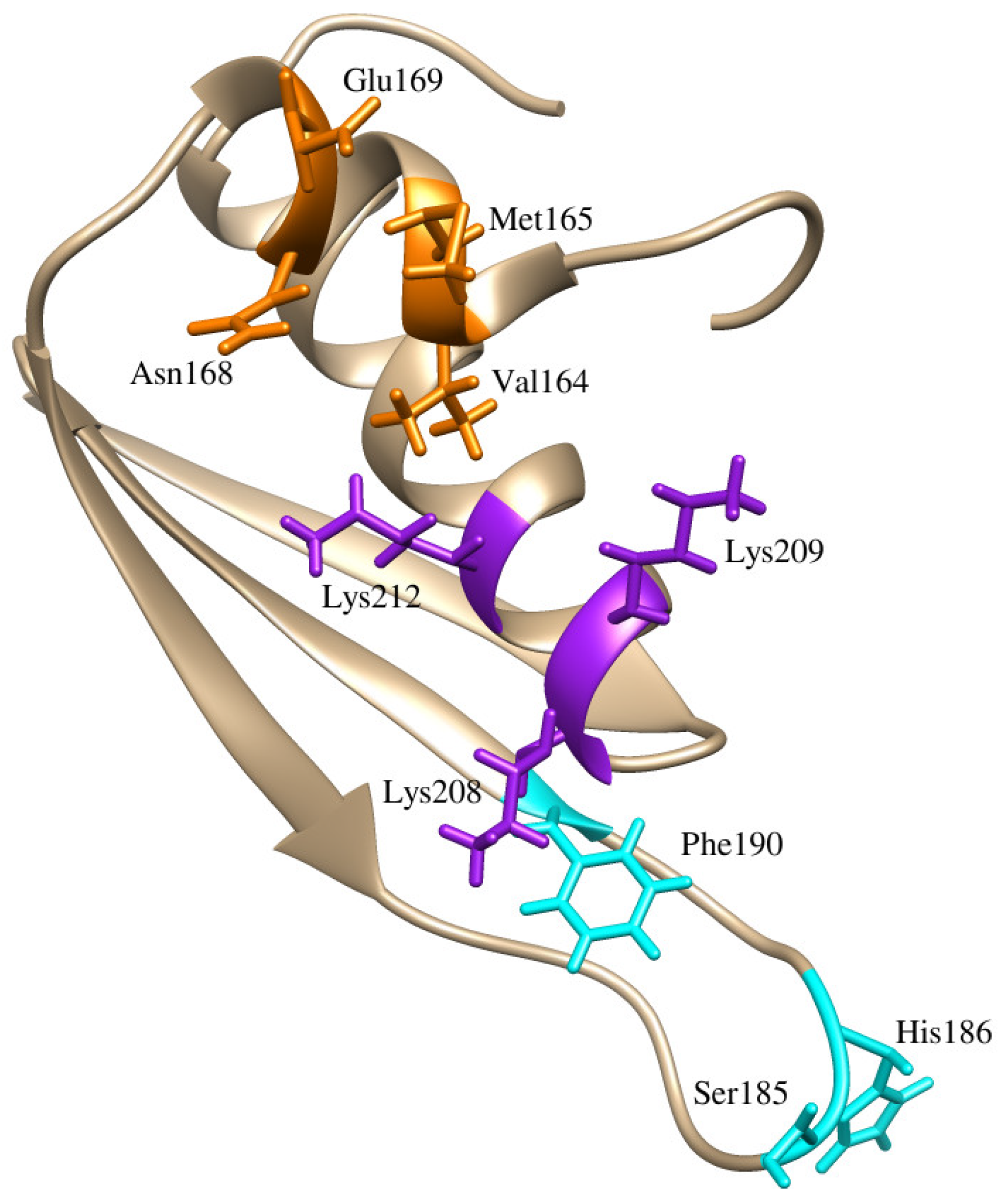 Ijms 26 04075 g001 Ijms 26 04075 g001