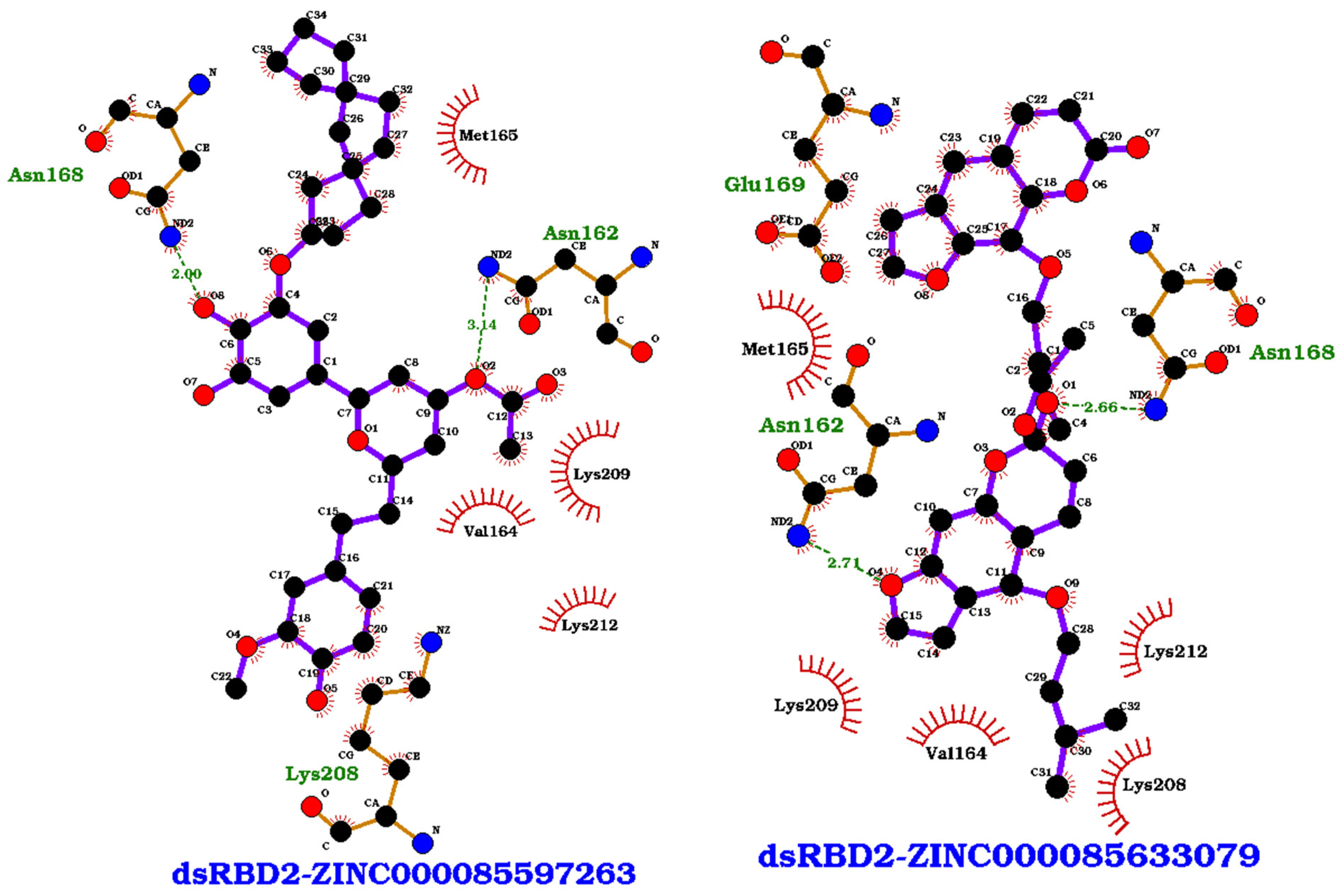 Ijms 26 04075 g005 Ijms 26 04075 g005