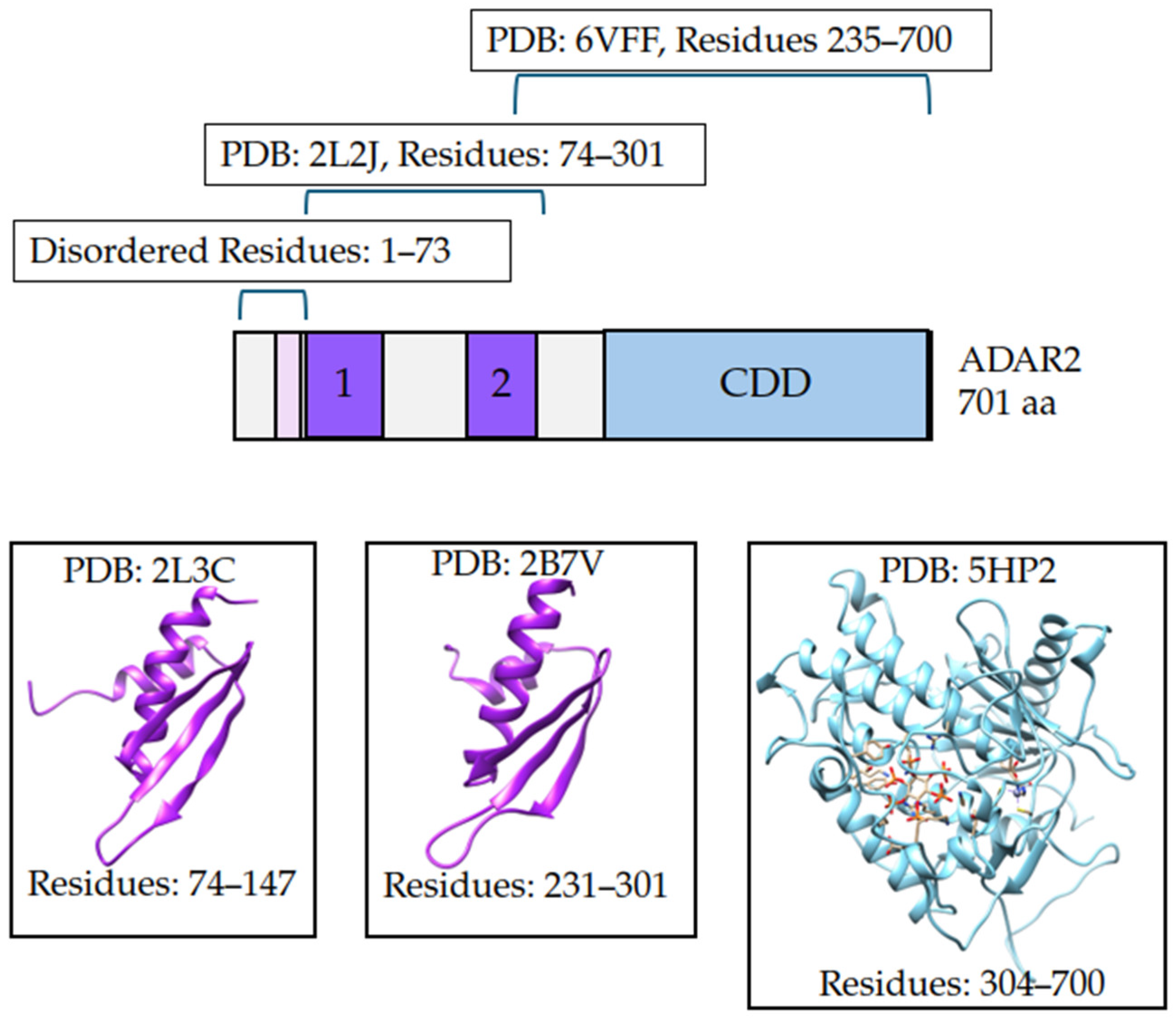 Ijms 26 04075 g007 Ijms 26 04075 g007