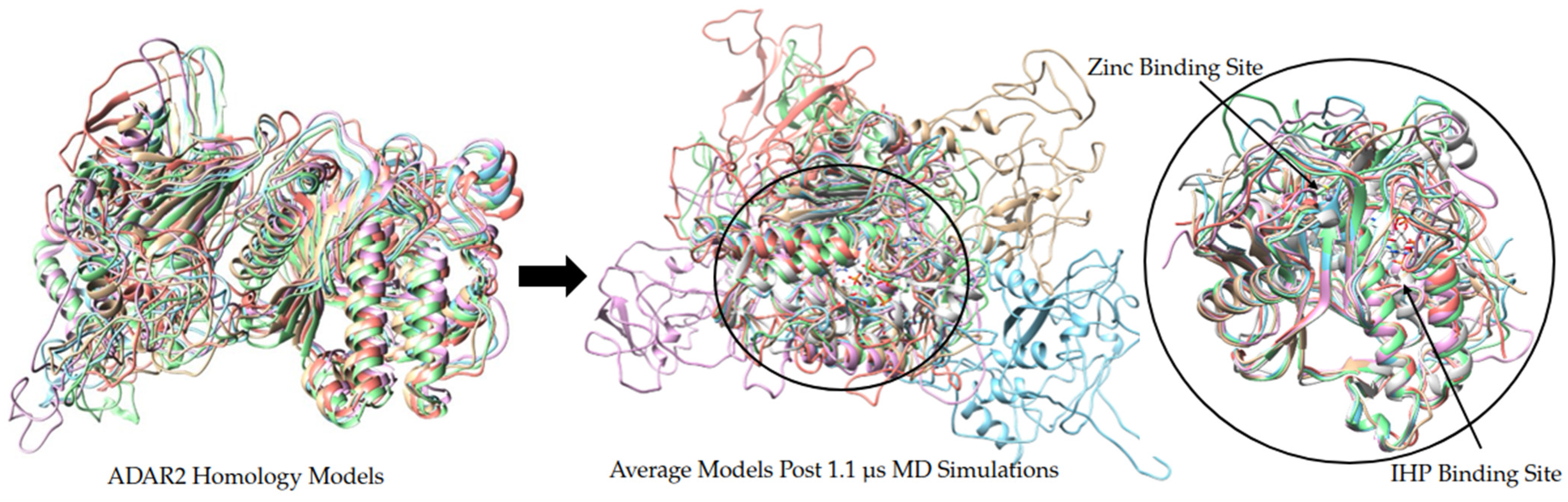 Ijms 26 04075 g008 Ijms 26 04075 g008