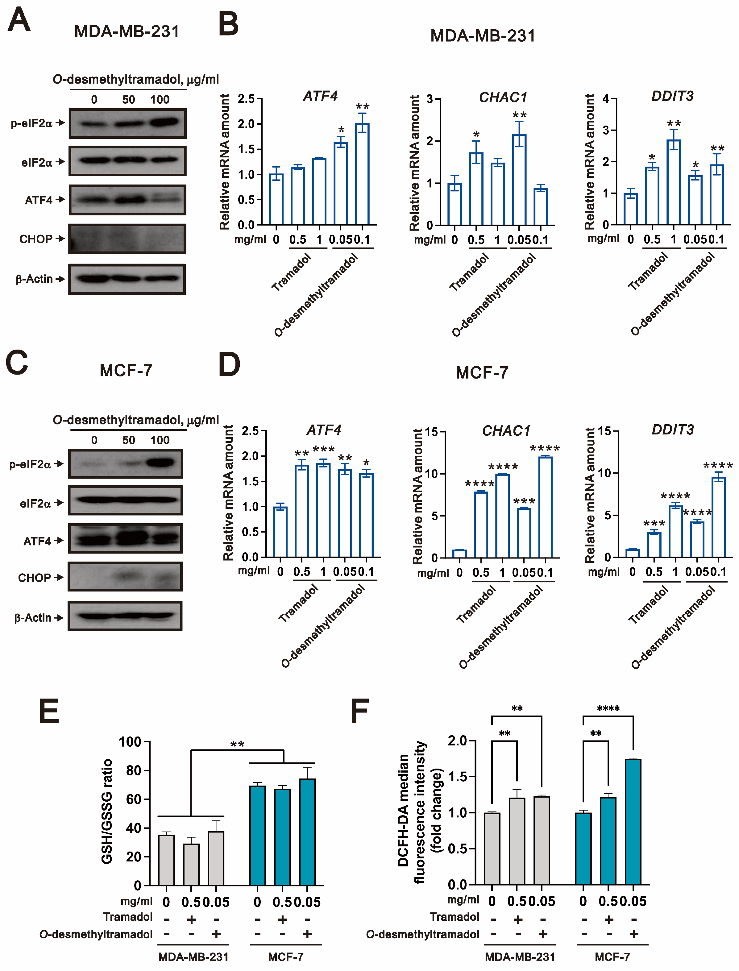 Ijms 26 04139 g003 Ijms 26 04139 g003