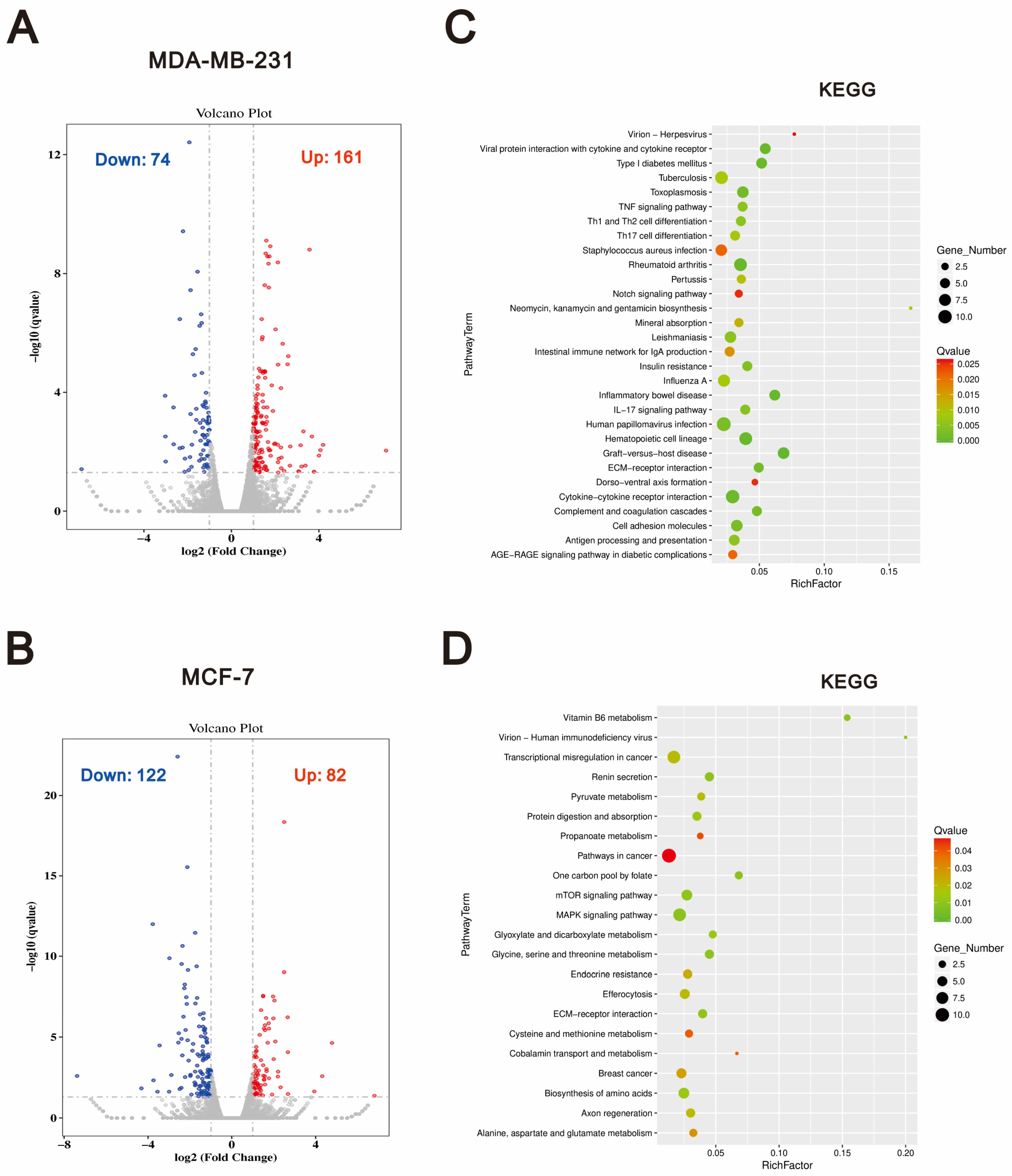 Ijms 26 04139 g004 Ijms 26 04139 g004