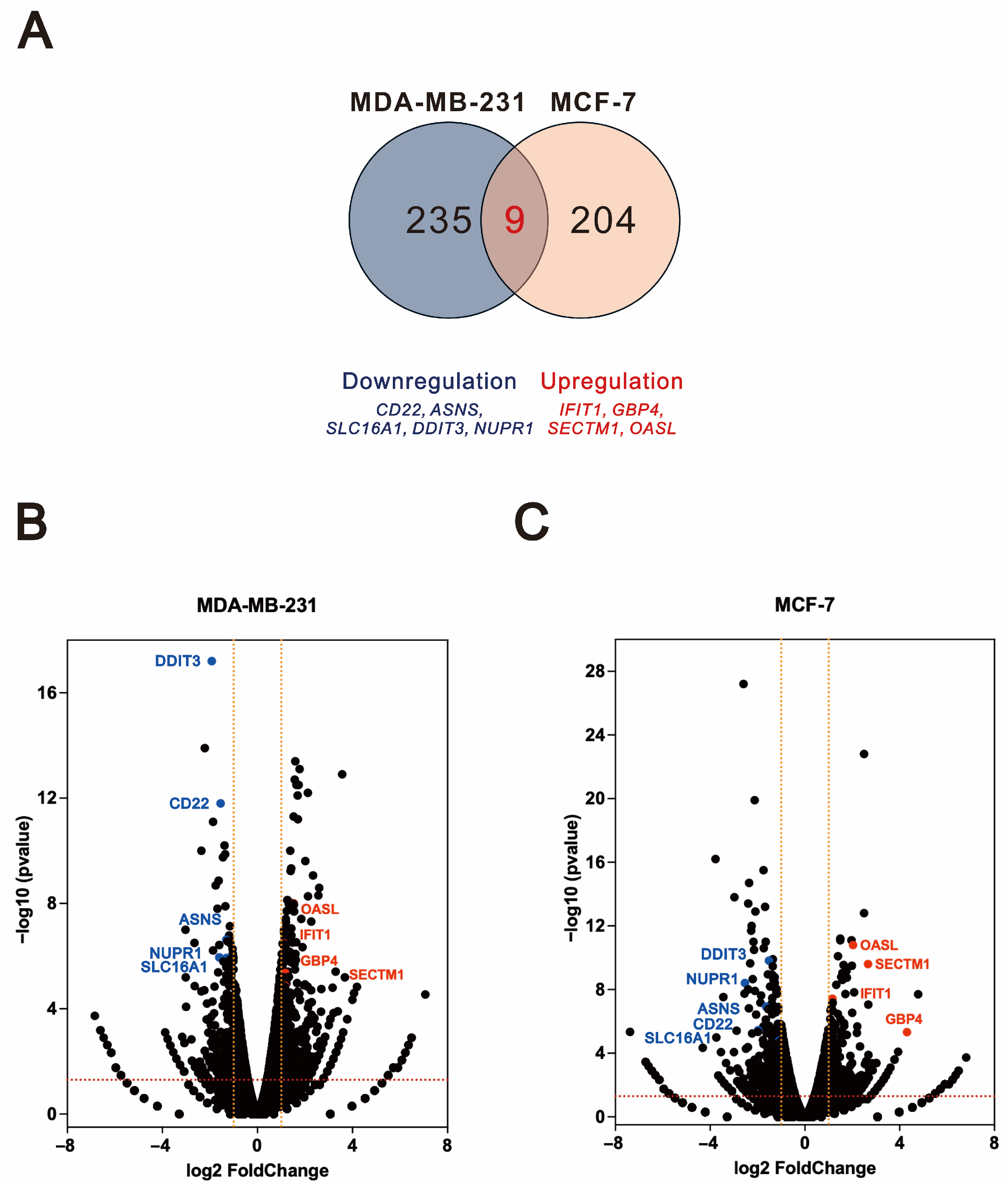 Ijms 26 04139 g007 Ijms 26 04139 g007
