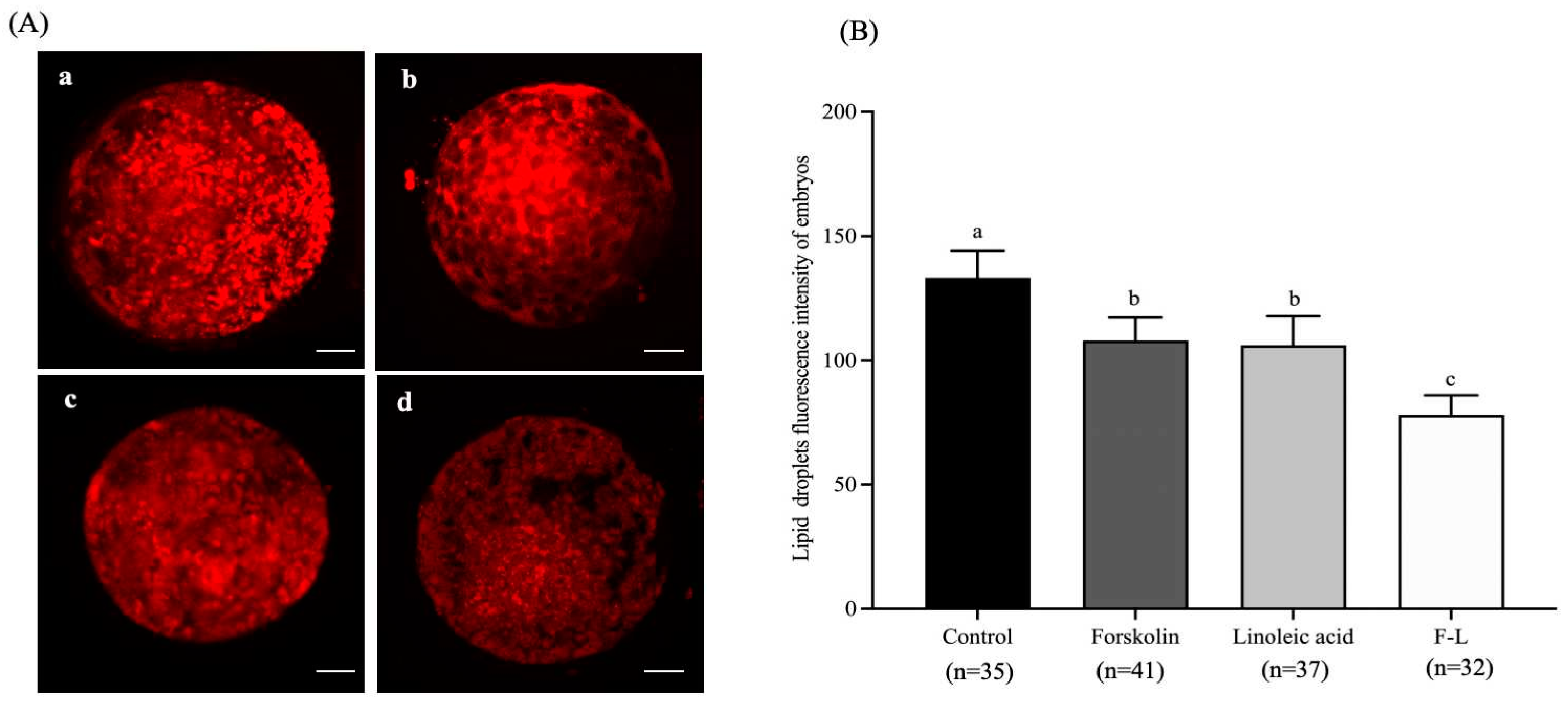 Ijms 26 04151 g001 Ijms 26 04151 g001
