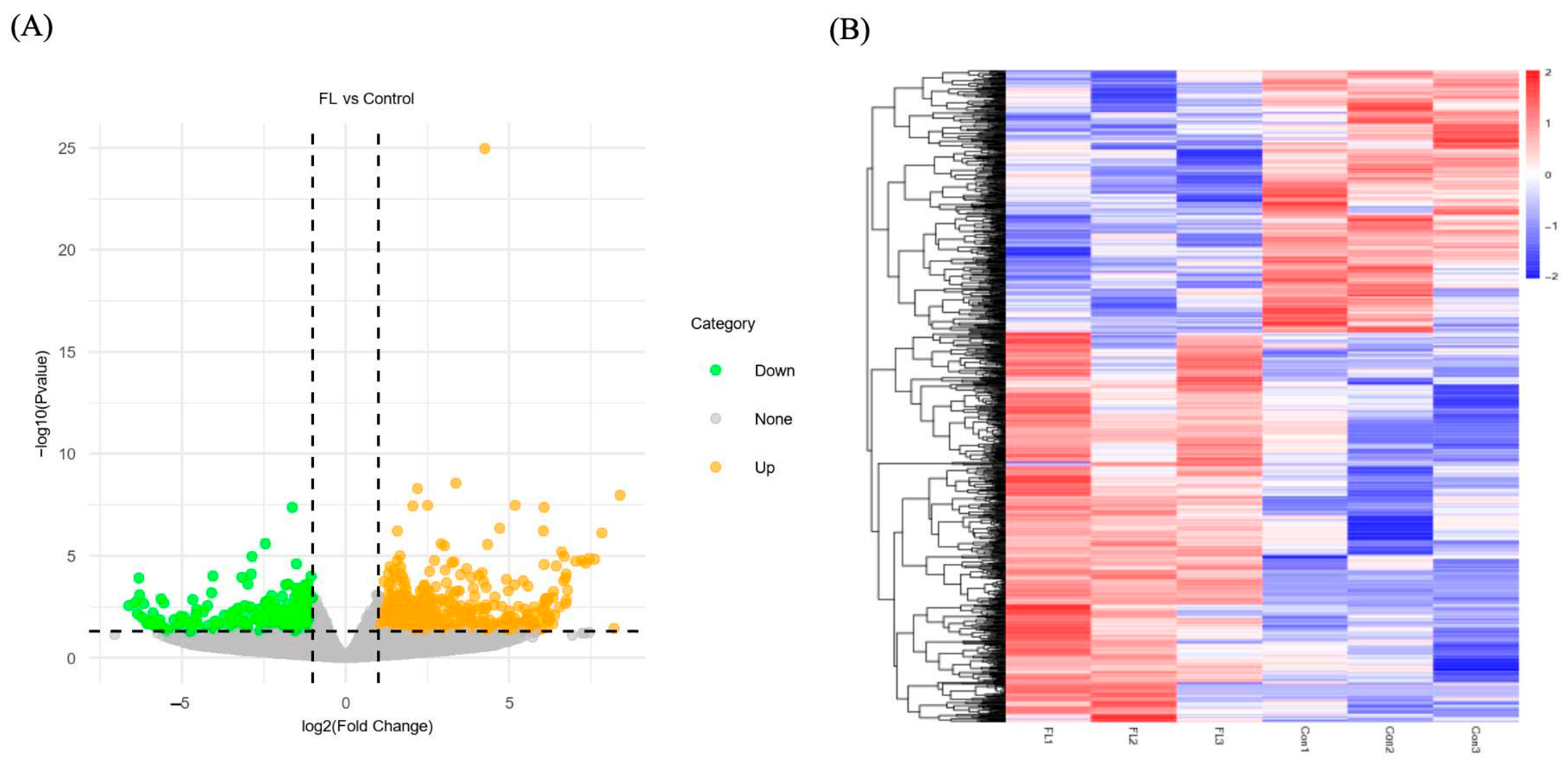 Ijms 26 04151 g005 Ijms 26 04151 g005
