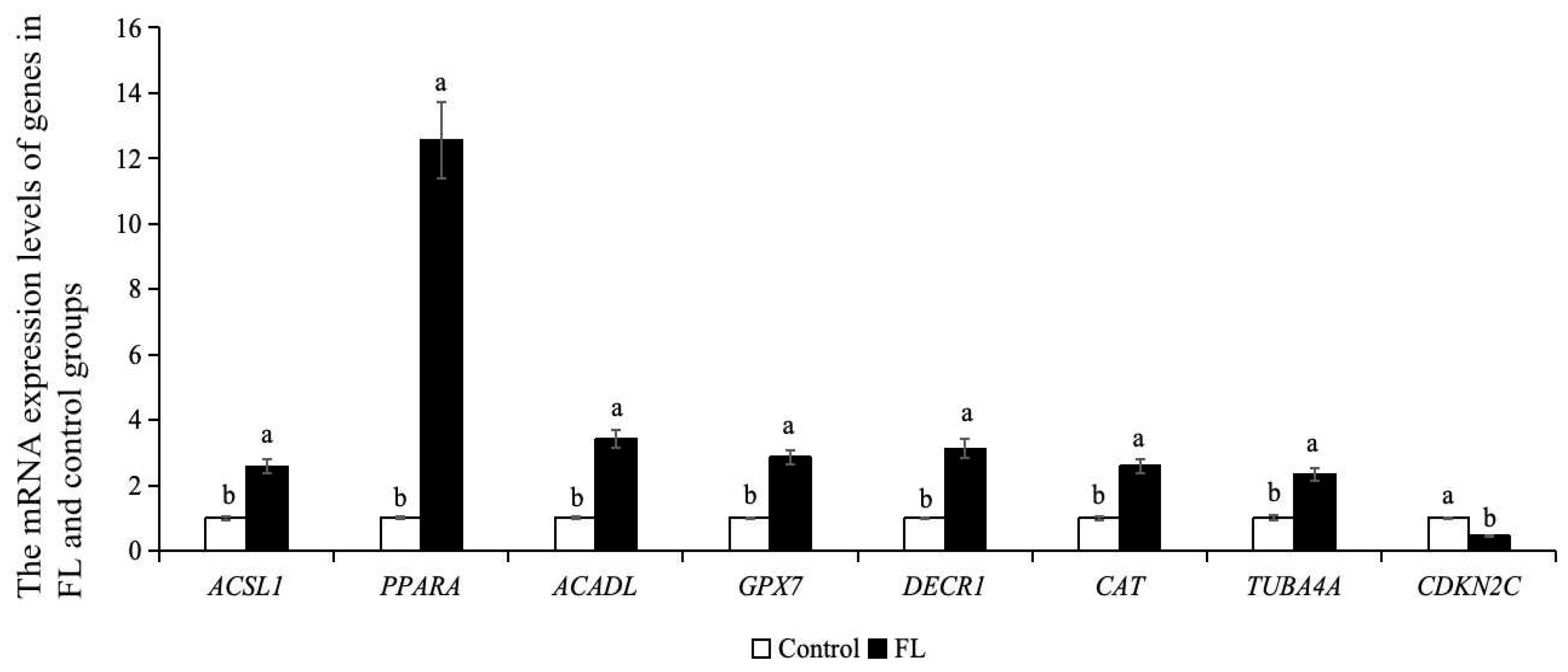Ijms 26 04151 g008 Ijms 26 04151 g008