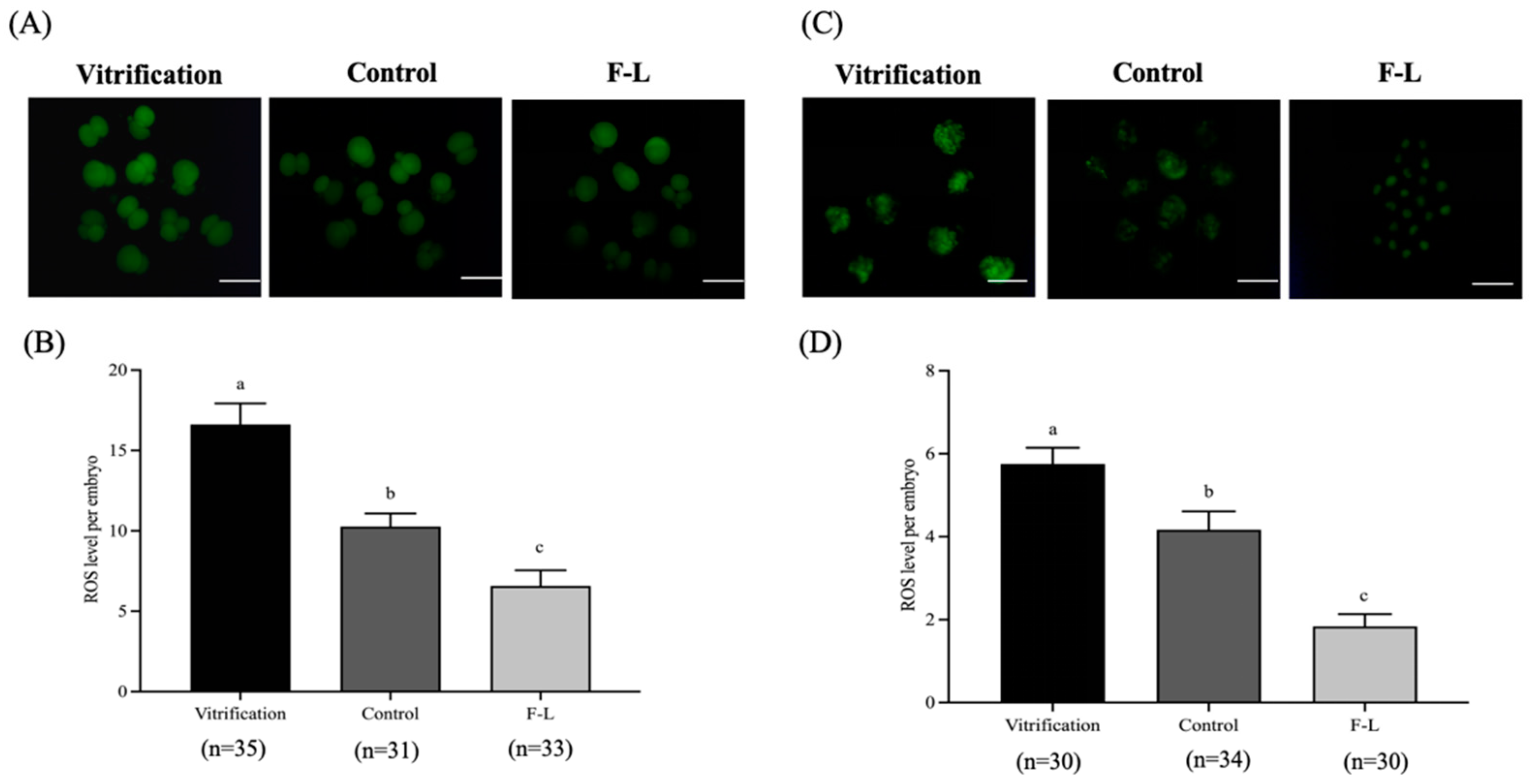 Ijms 26 04151 g010 Ijms 26 04151 g010
