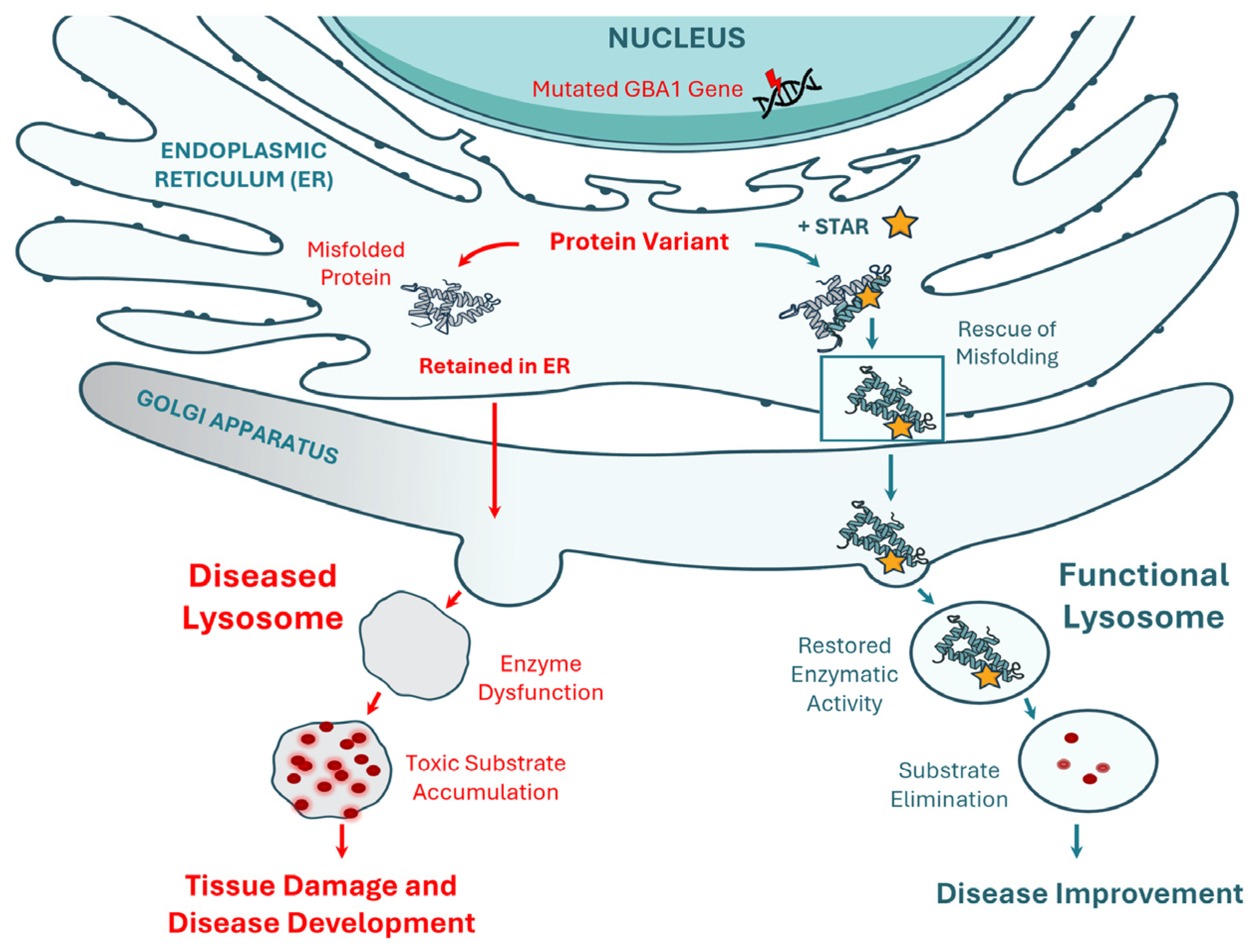 Ijms 26 04392 g001 Ijms 26 04392 g001