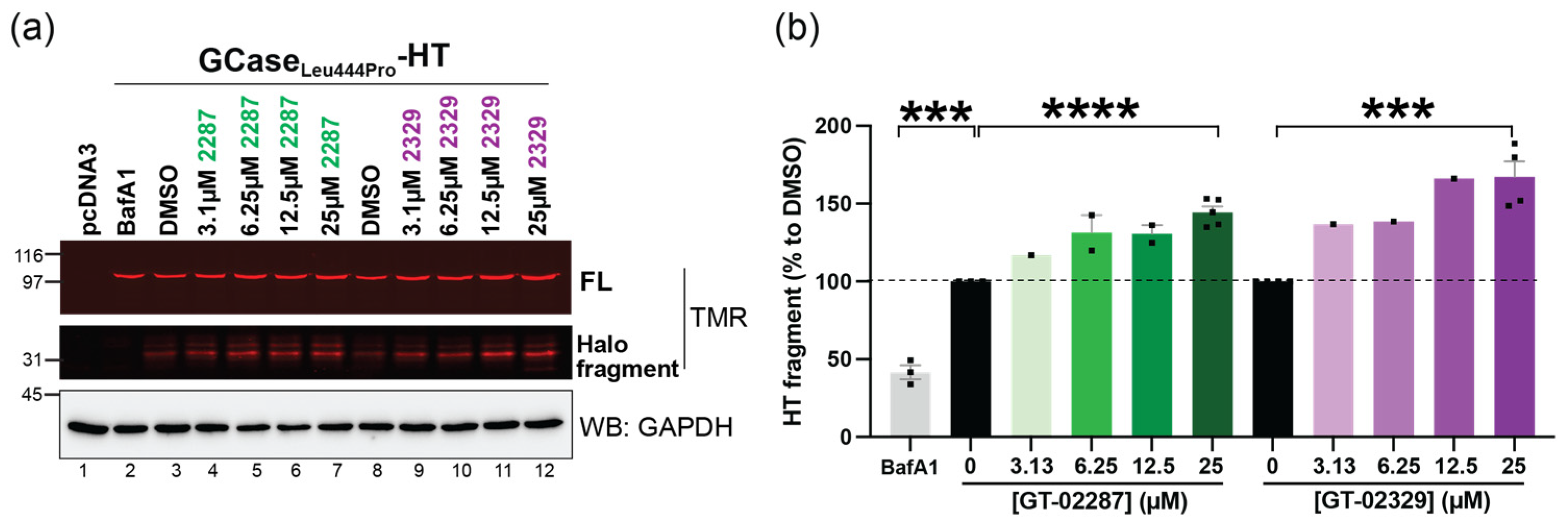 Ijms 26 04392 g008 Ijms 26 04392 g008