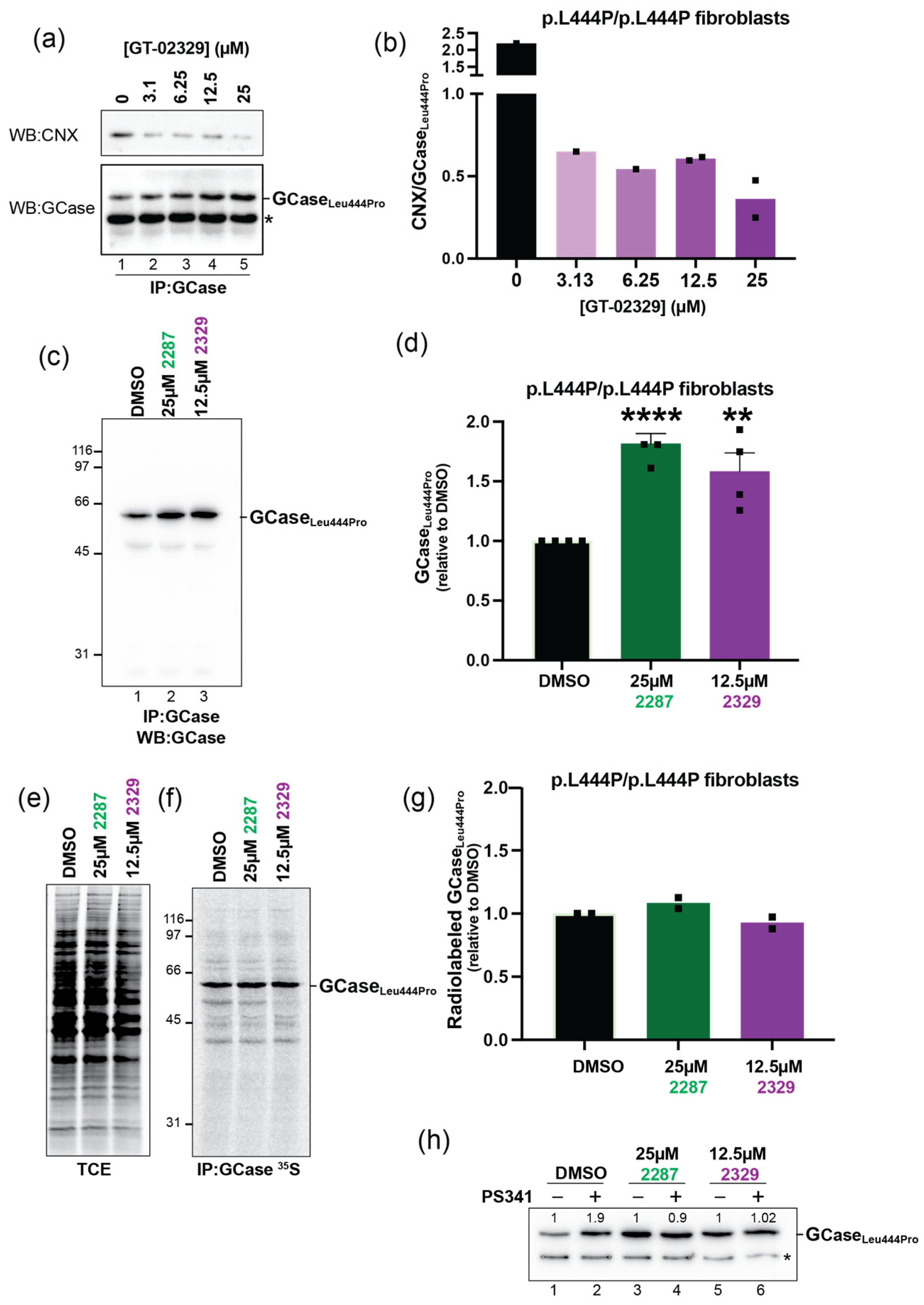 Ijms 26 04392 g009 Ijms 26 04392 g009