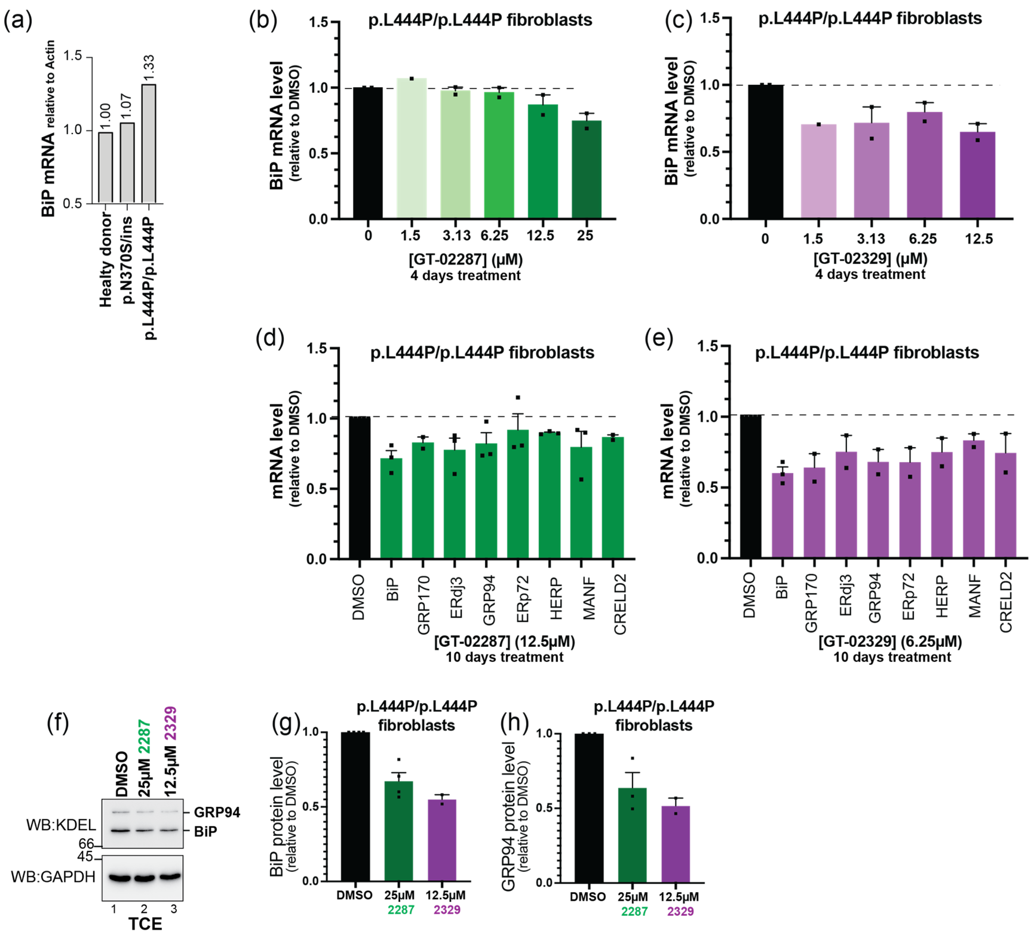 Ijms 26 04392 g010 Ijms 26 04392 g010