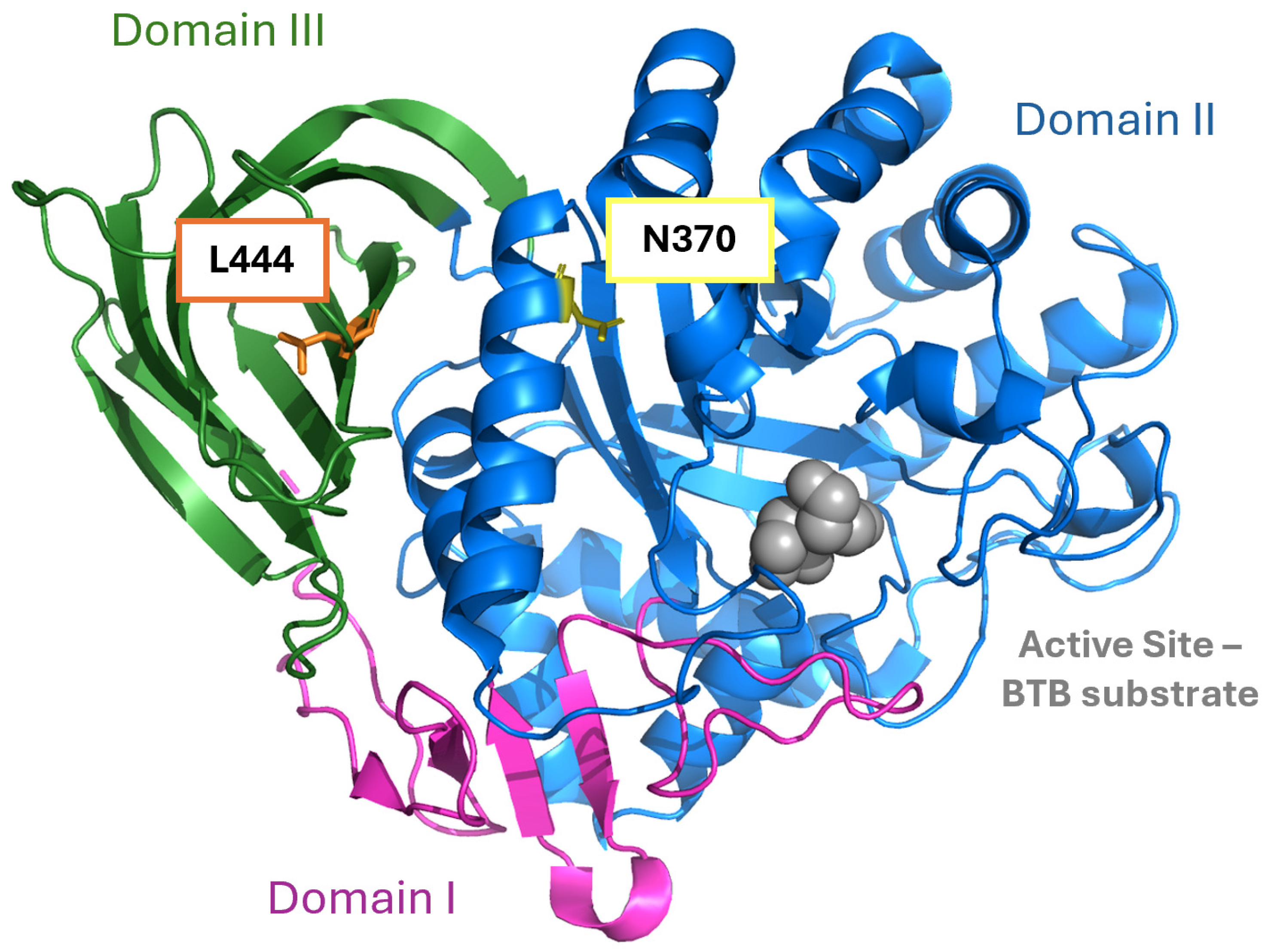 Ijms 26 04392 g0a1 Ijms 26 04392 g0a1