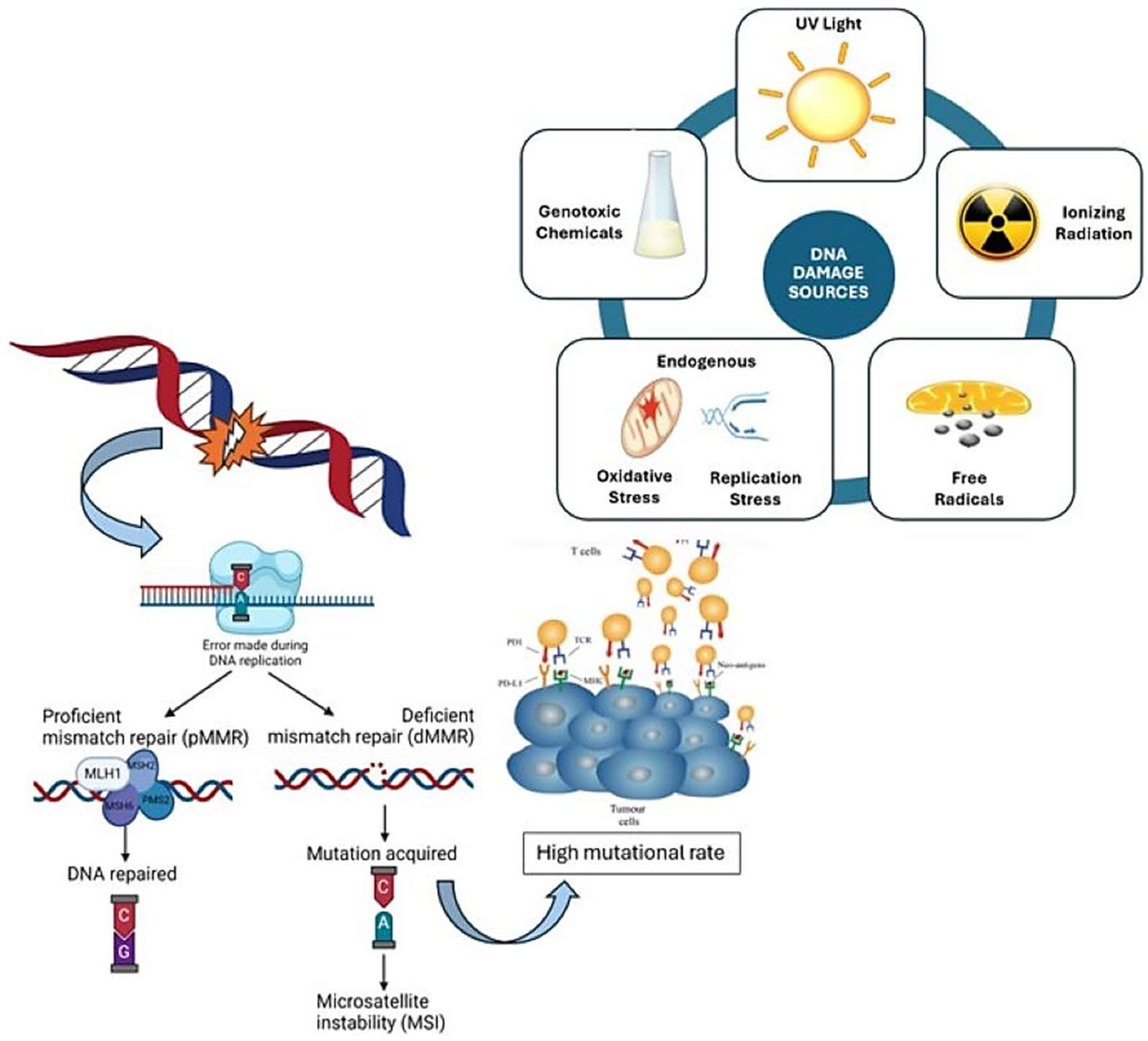 Ijms 26 04394 g001 Ijms 26 04394 g001